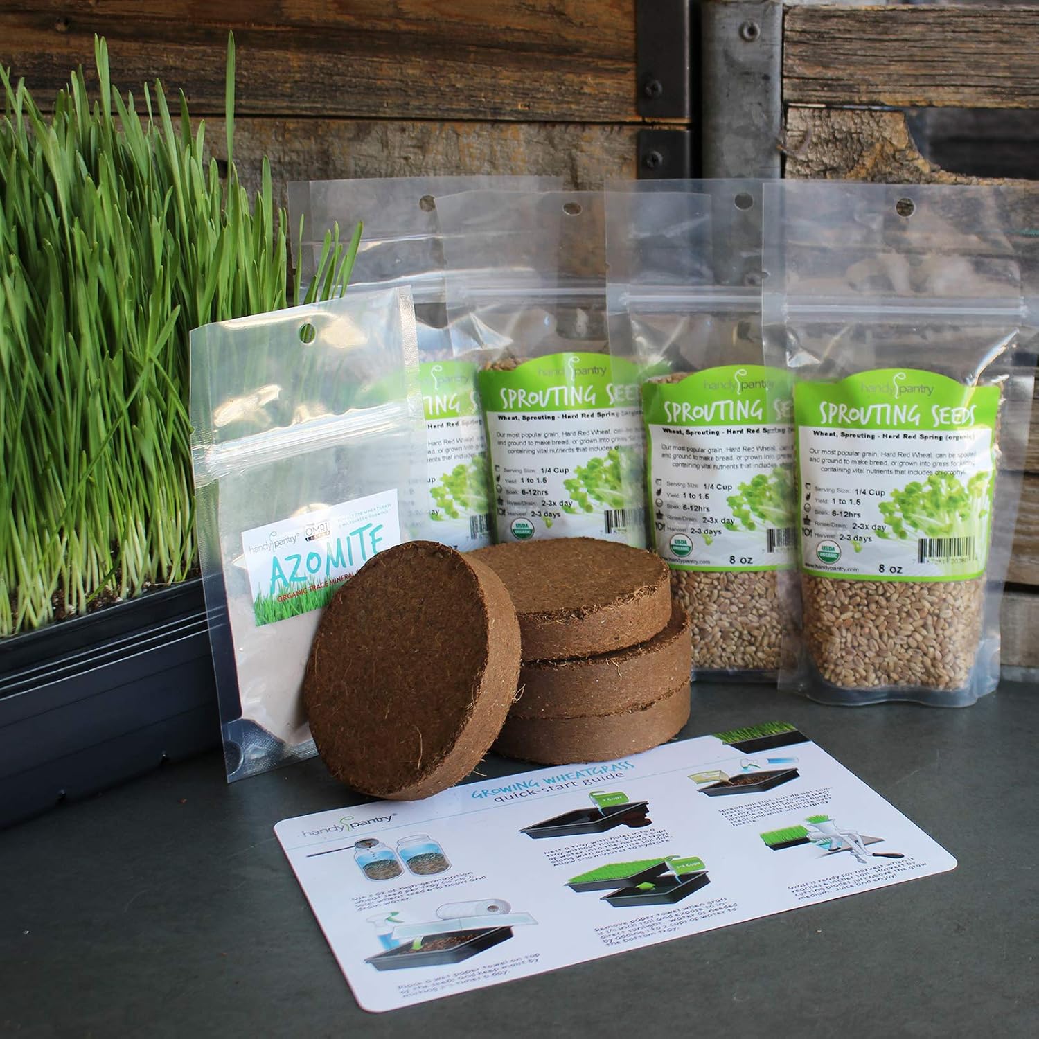 Handy Pantry Organic Wheatgrass Growing Starter Kit Grow & Juice Wheat | Grass Includes Non-GMO, Organic Wheatgrass