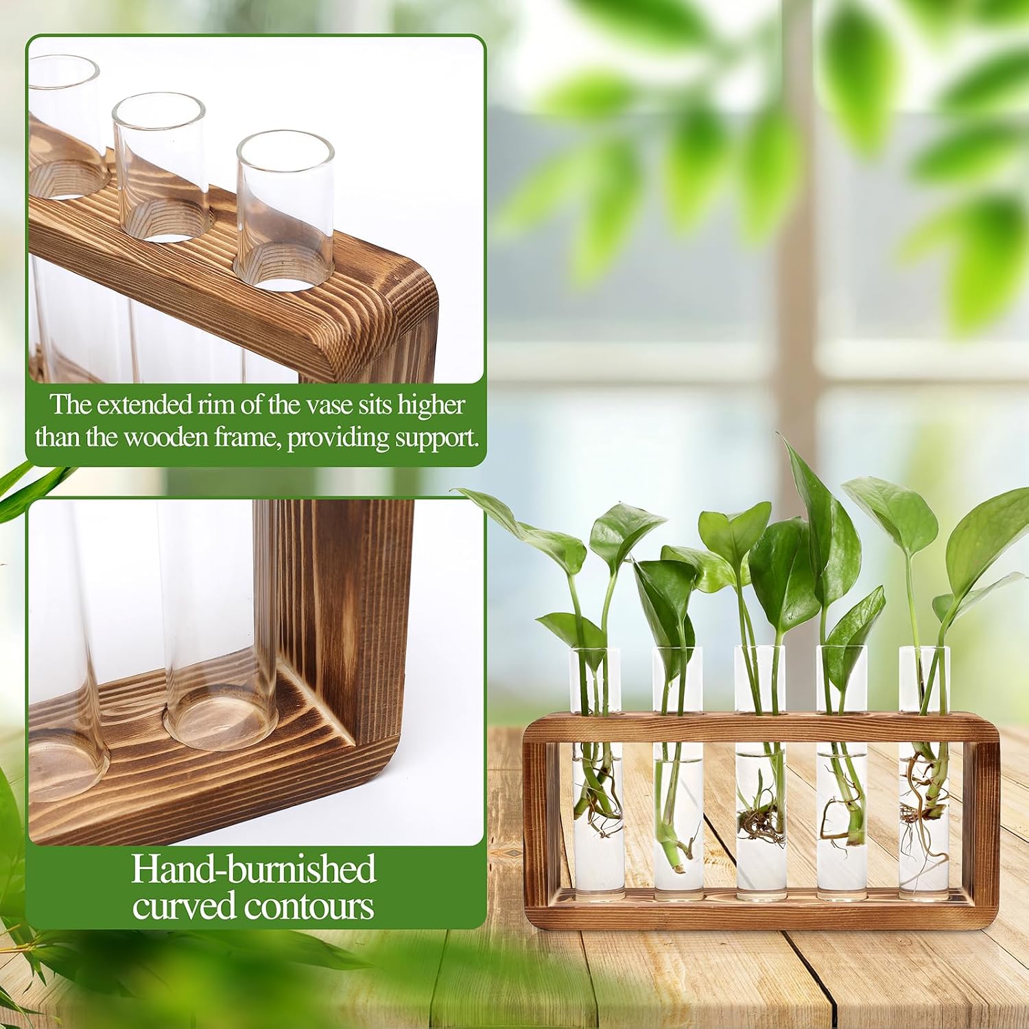 Glass Plant Propagation Station with 5 Test Tubes Colorful Planter Vase | Birthday Gifts for Women Mom Plant Lovers