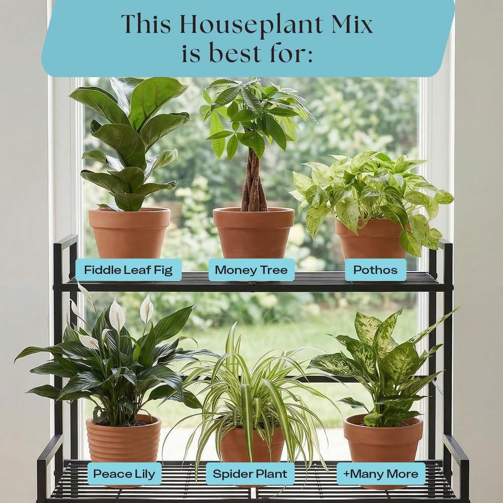 Rosy Soil Houseplant Potting Soil, Organic Indoor Potting Mix, 8 Quarts | Biochar and Worm Castings, For Monstera