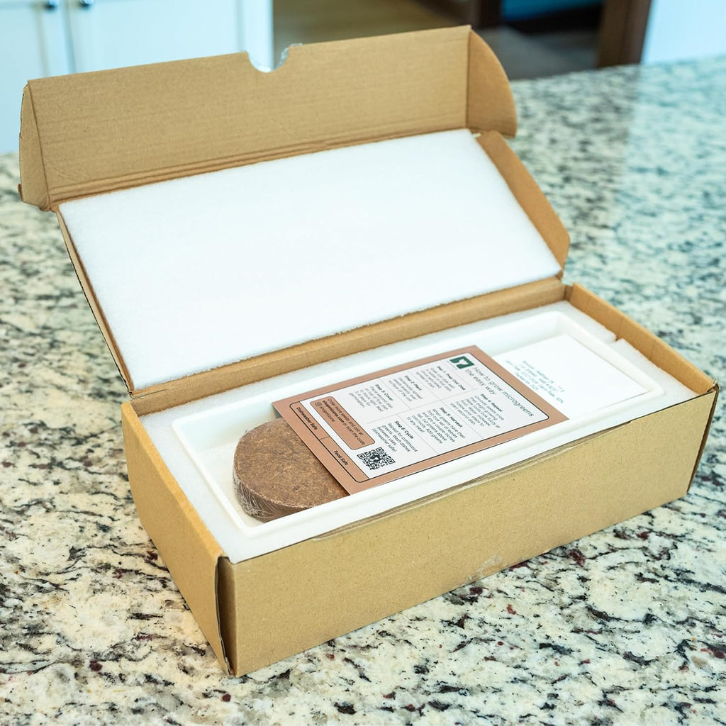 mizuna Microgreens Growing Kit — 2 Ceramic Trays, Coconut Coir & Seeds | Indoor Windowsill Grow Kit | Gift for Plant &