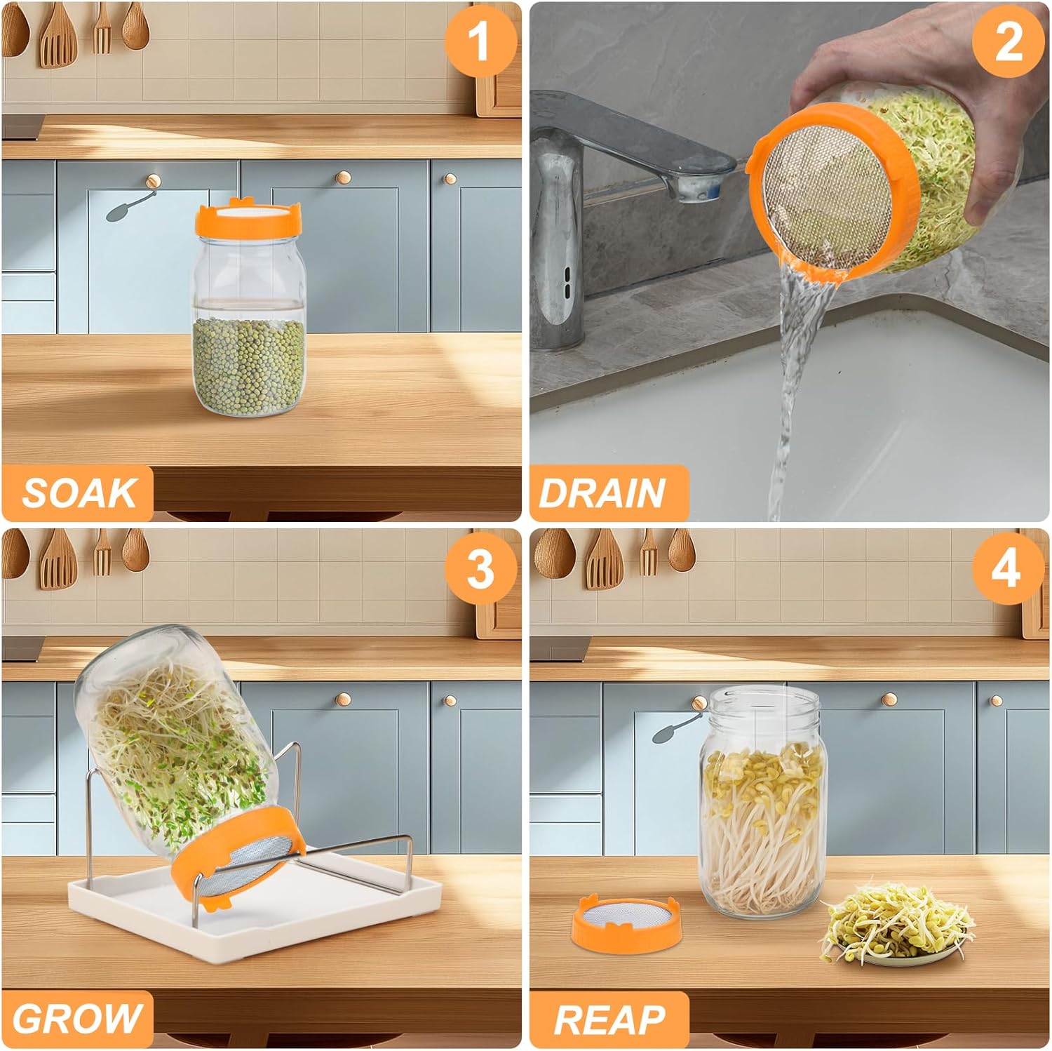 Lulonpon Sprouting Kit, 4 Sprouting Jar Kits, Wide Mouth Quart Mason Jars with Stainless Steel Screen Sprout