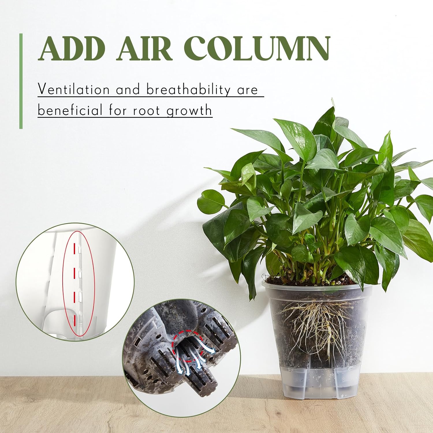 Self Watering Planters, Deep Reservoir Pots for Indoor Plants | Clear plastic planters in 3 sizes store water for 7-10