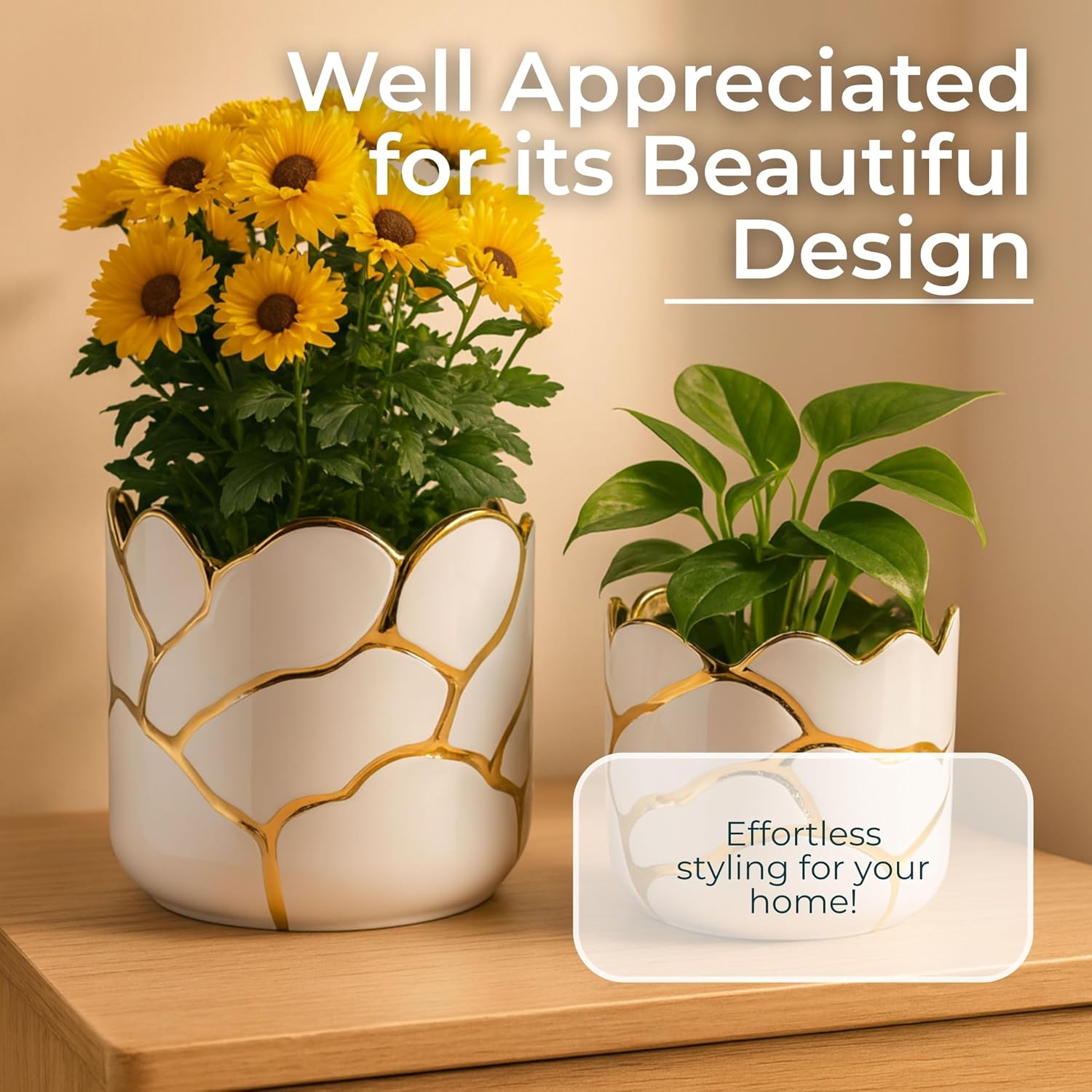Set of 2 Plant Pots for Indoor Plants – Ceramic Planters with Gold Accents, Decorative Pots for Home Decor, Modern