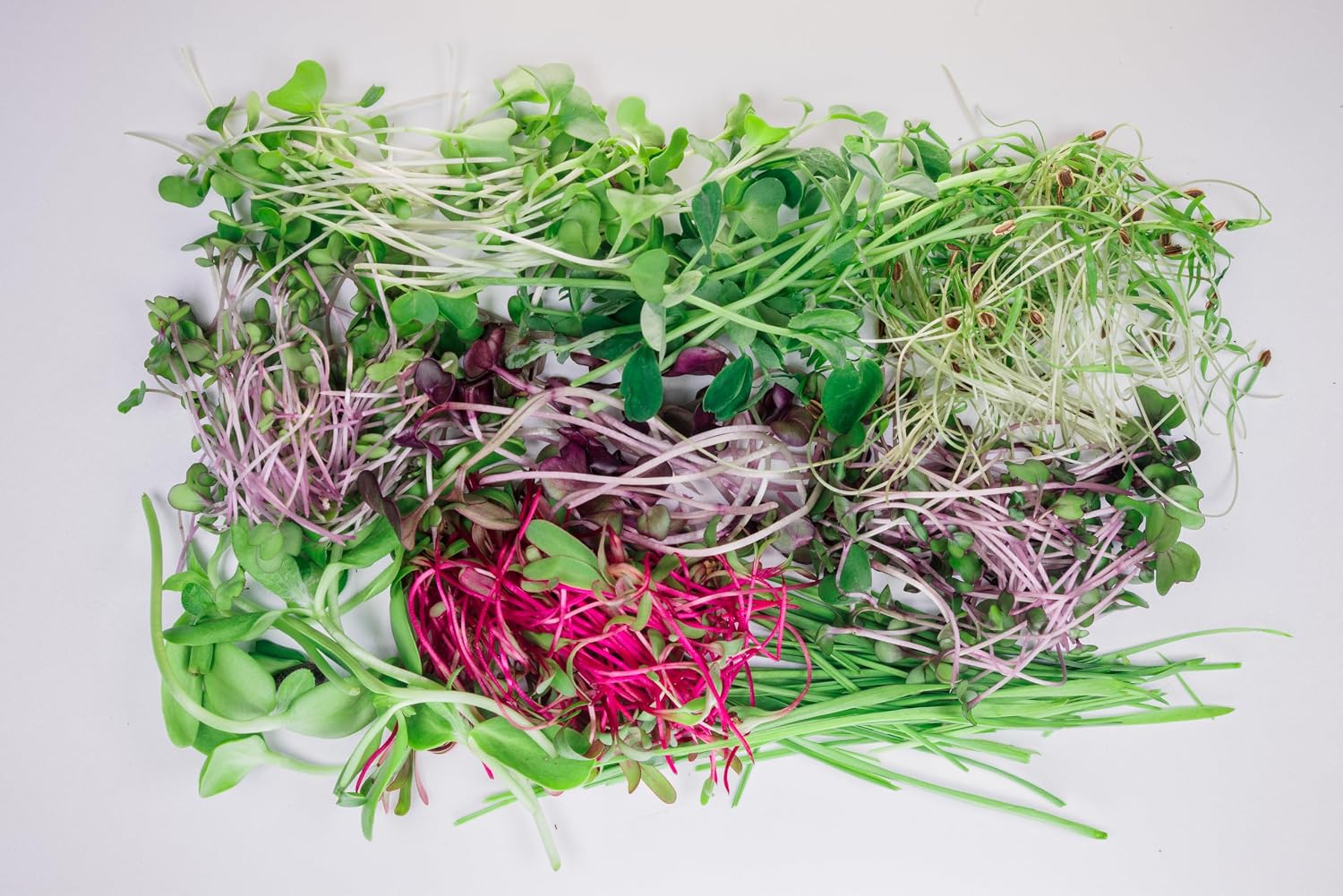 Indoor Garden, Fully Automated LED Growing Unit for Microgreens, Herbs, Leafy Greens, Organic Soil-Based, Low/No