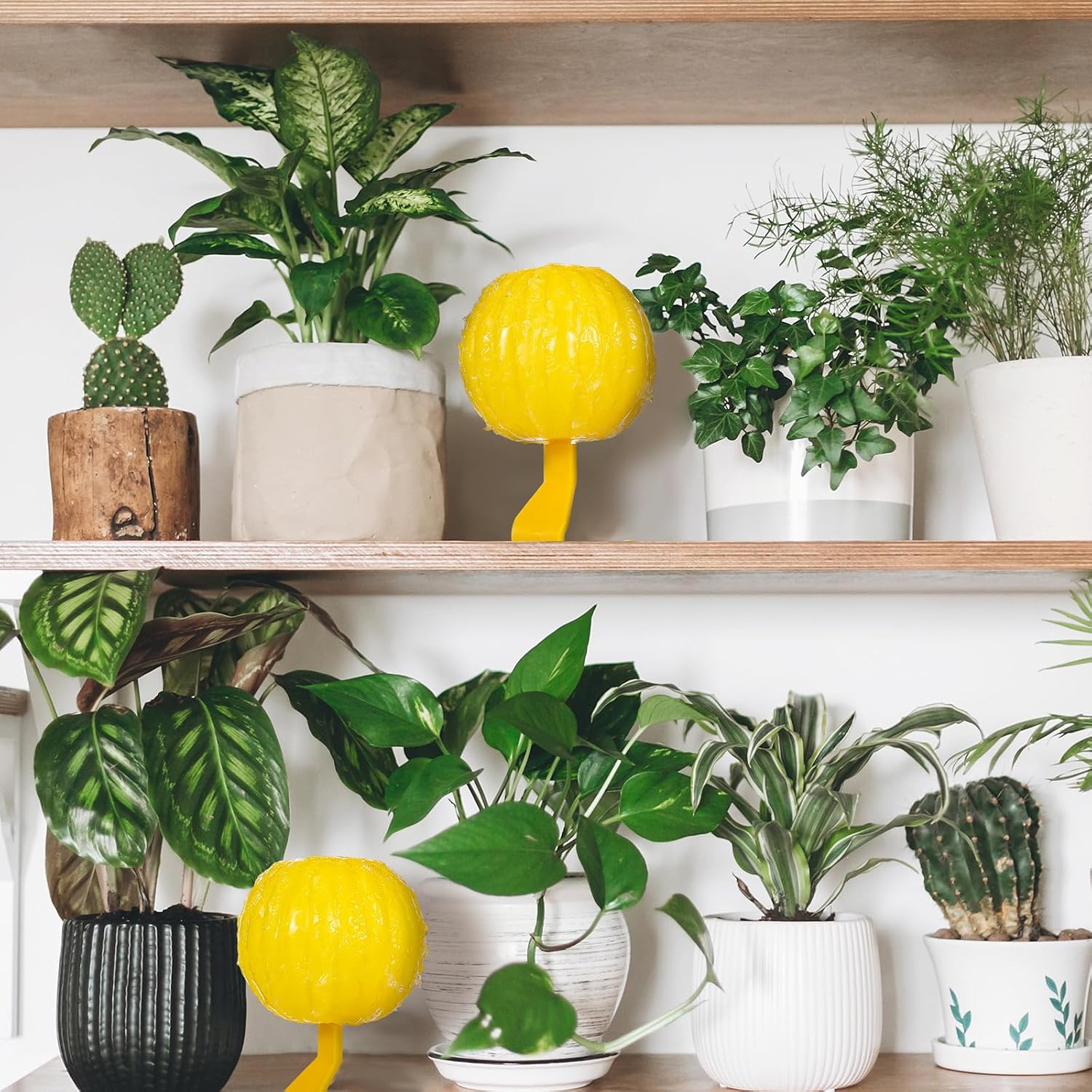 Qualirey 10 Set Sticky Fruit Fly Trap Balls Yellow Adhesive Fungus Gnat Sticky Balls for Plants Fly Catching Sticky