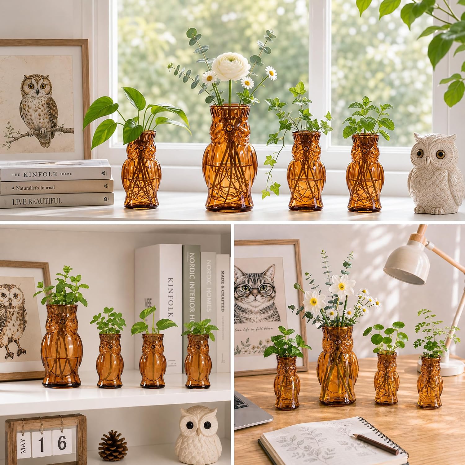 Owl Plant Propagation Station: Set of 4 Cute Brown Glass Vases | Small Plant Terrarium for Hydroponics, Home Office