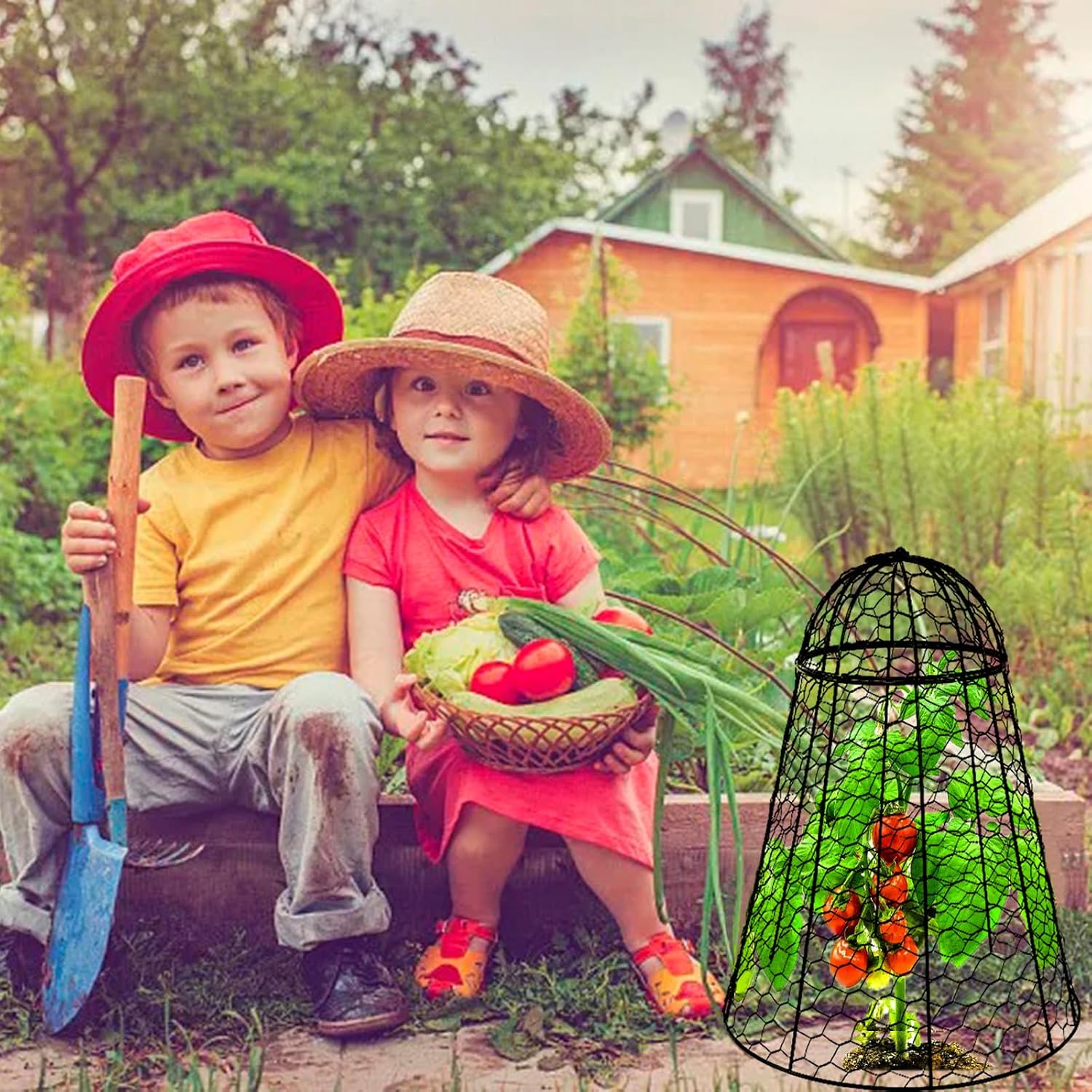 Garden Cloches for Plants Extra Large Sapbontchi Garden Cloche Chicken Wire Cloche for Plants Cages Cover Plant
