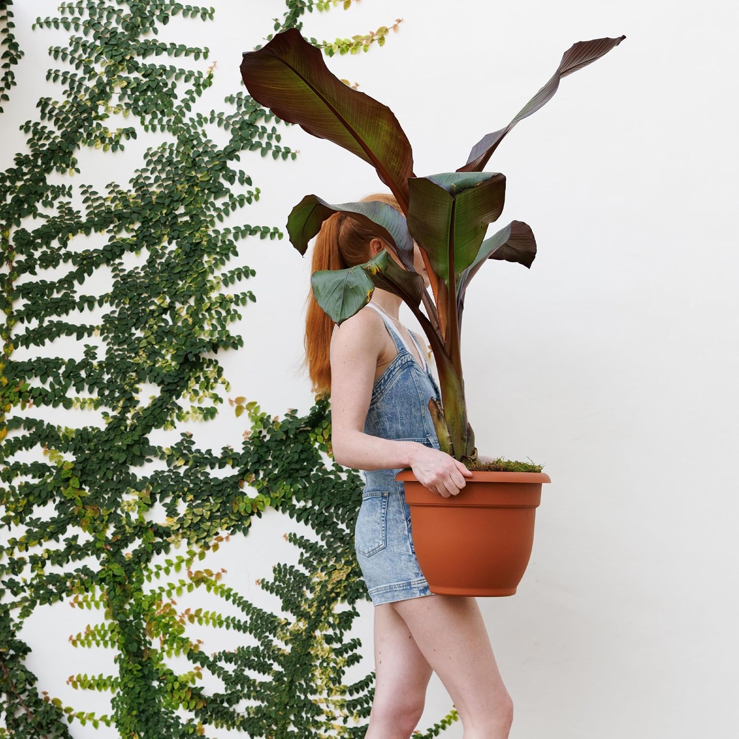 Bloem Ariana 12" Plastic Self-Watering Planter, Terra Cotta, 2-Pack | Self-watering disk at the bottom of each pot that