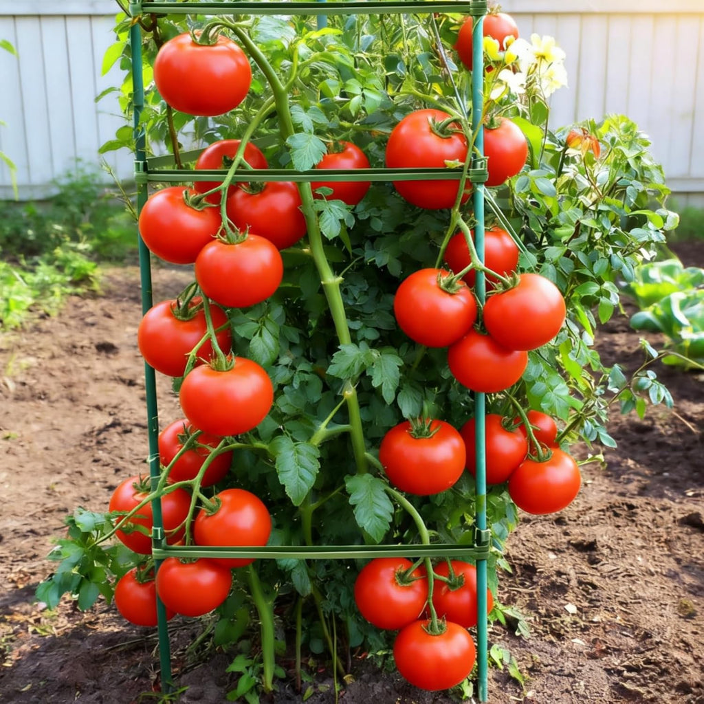 100Pcs Stake Arms for Tomato Cage, 11.8 inch Tomato Stake Connectors, Expandable Support Trellis Connectors for 11mm