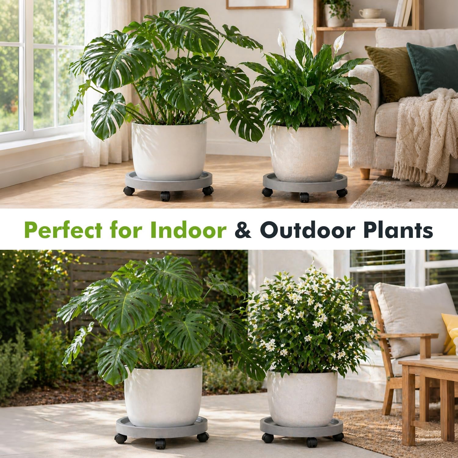 5 Pack Plant Caddy with Wheels Rolling Plant Stand with Wheels 10 Inch Plant Dolly Heavy Duty Large Potted Plant Mover