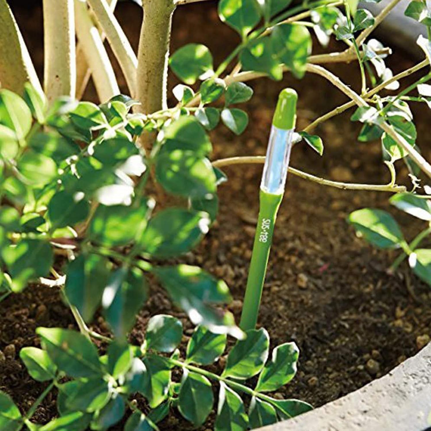 IPPINKA Sustee Aquameter, Bundle of 12, House Plant Soil Moisture Meter, Best for Indoor Potted Plants - Large Green