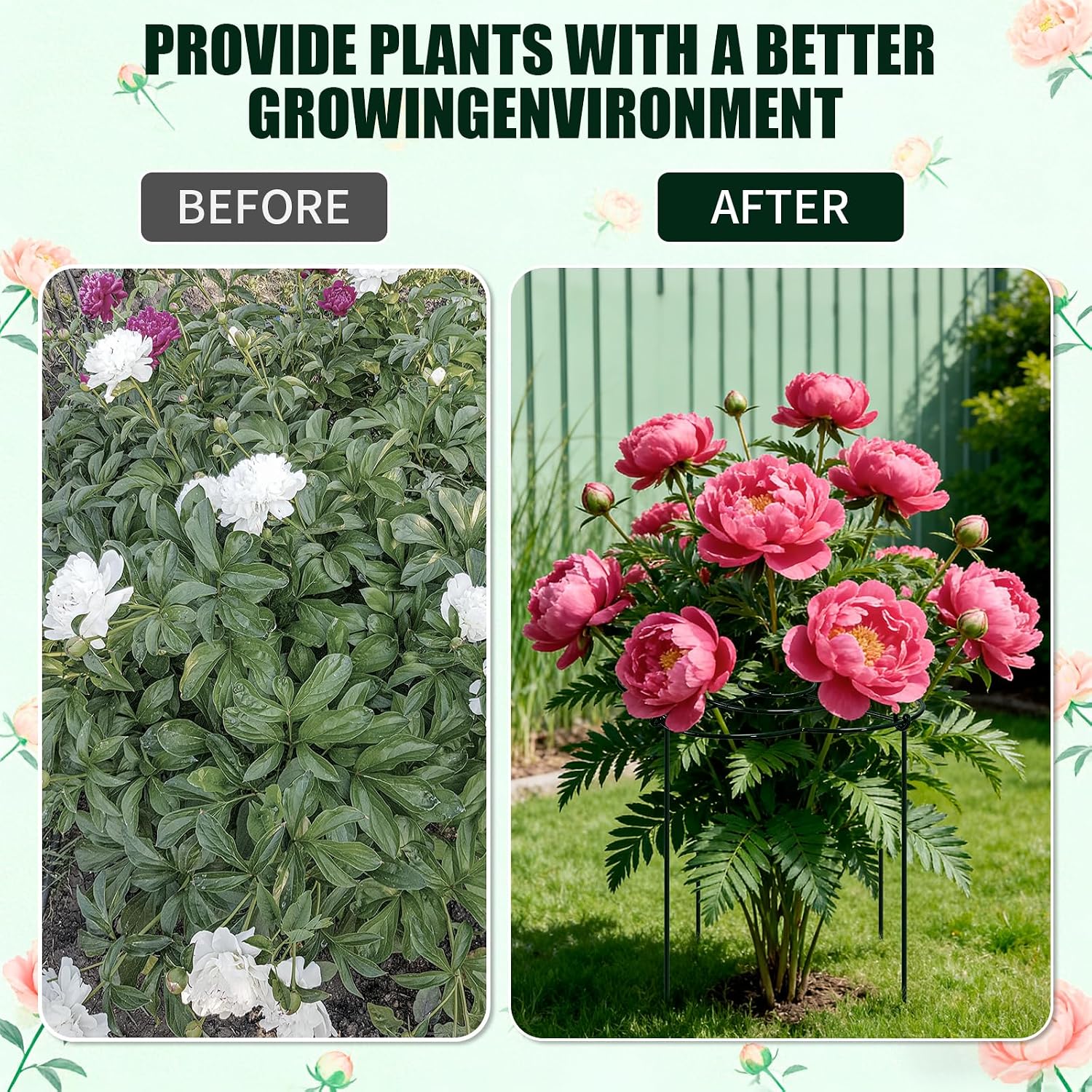 Peony Cages and Supports 4 Pack, 13" Dx24 H Grow Through Plant Supports, Heavy Duty Metal Plant Support Cage for
