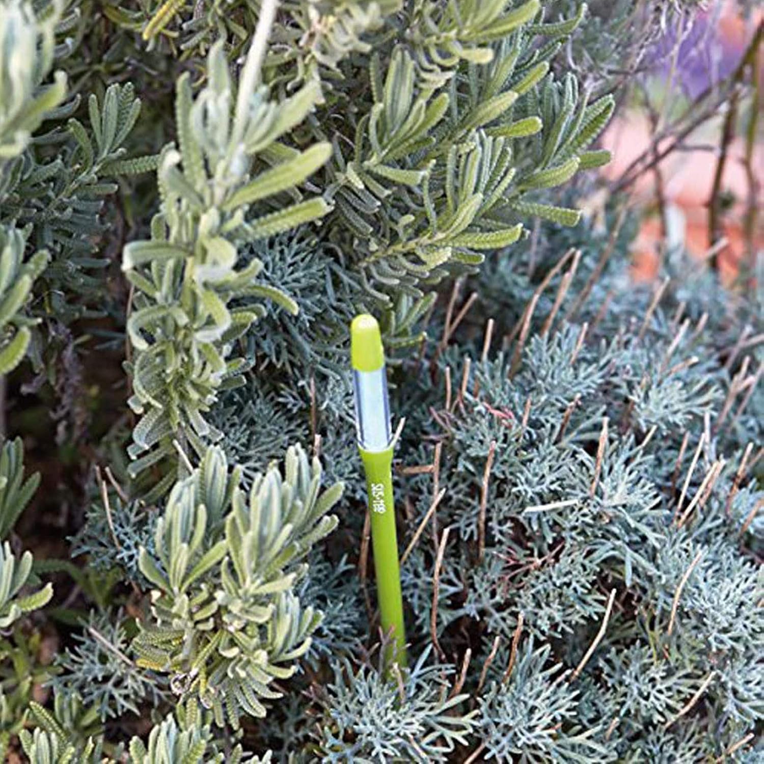 IPPINKA Sustee Aquameter, Bundle of 12, House Plant Soil Moisture Meter, Best for Indoor Potted Plants - Large Green