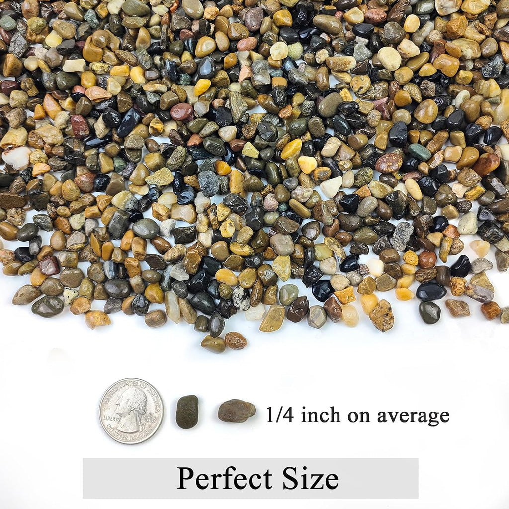 FANTIAN 10 lbs Pea Gravel for Landscaping,1/4 Inch Aquarium Gravel | Decorative Pebbles River Rocks for Fish Tank