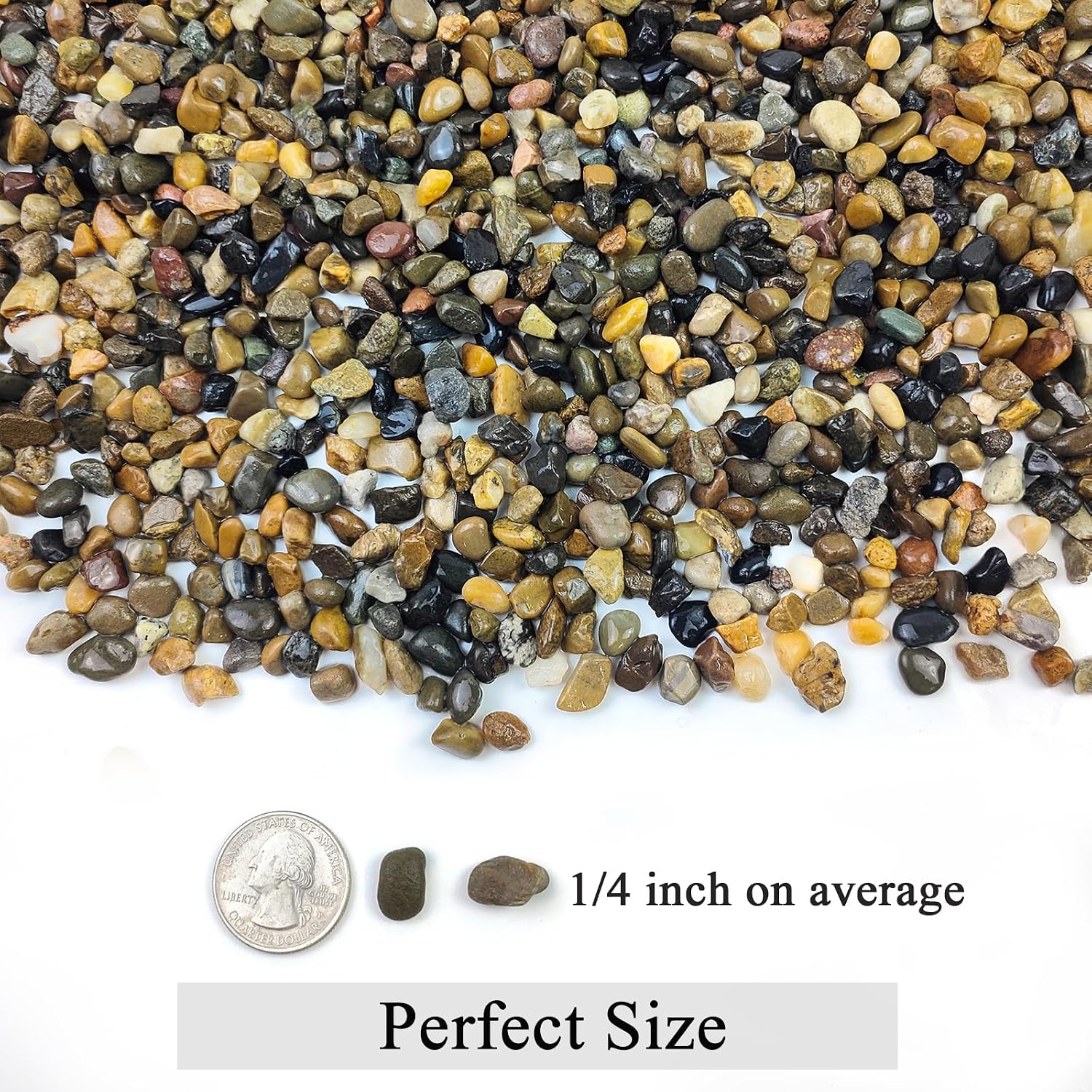 FANTIAN 10 lbs Pea Gravel for Landscaping,1/4 Inch Aquarium Gravel | Decorative Pebbles River Rocks for Fish Tank