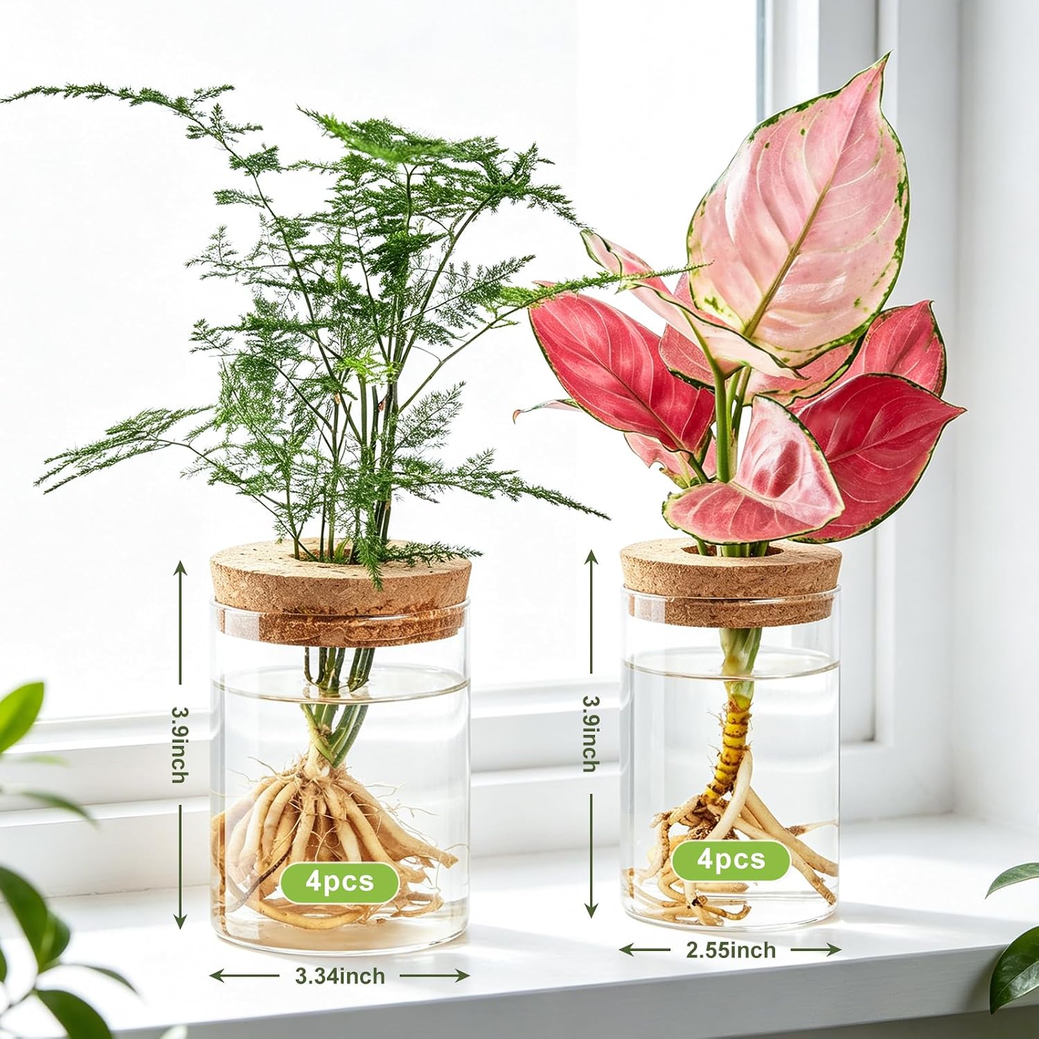 8 Pack Glass Propagation Vases, 2 Sizes Plant Propagation Station | with Cork Lids, Clear Hydroponic Rooting Jars for