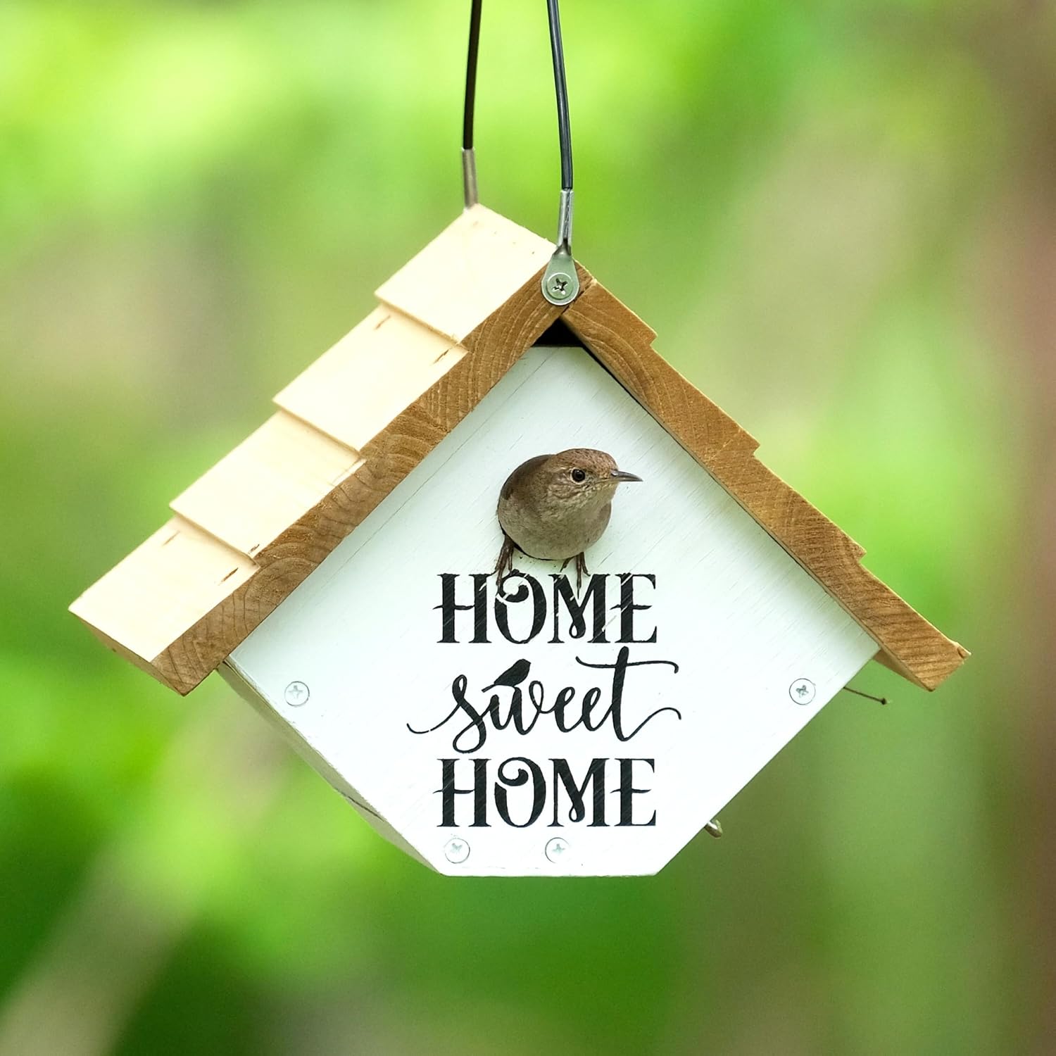 Wild Wings WWLH2-DECO Farmhouse Wren House, White
