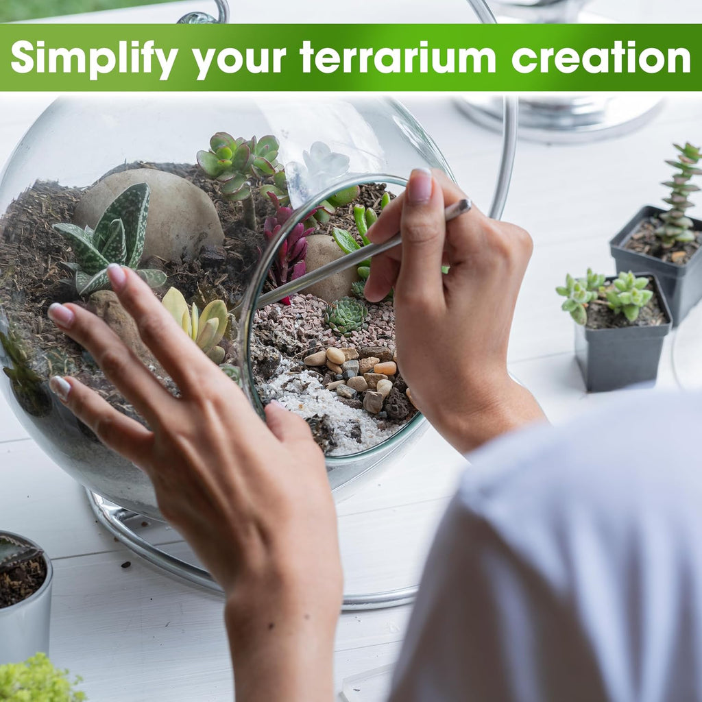 All-in-One DIY Terrarium Starter Kit for Air Plant & Succulent | Includes Potting Soil, Pumice, Zeolite, Green Moss