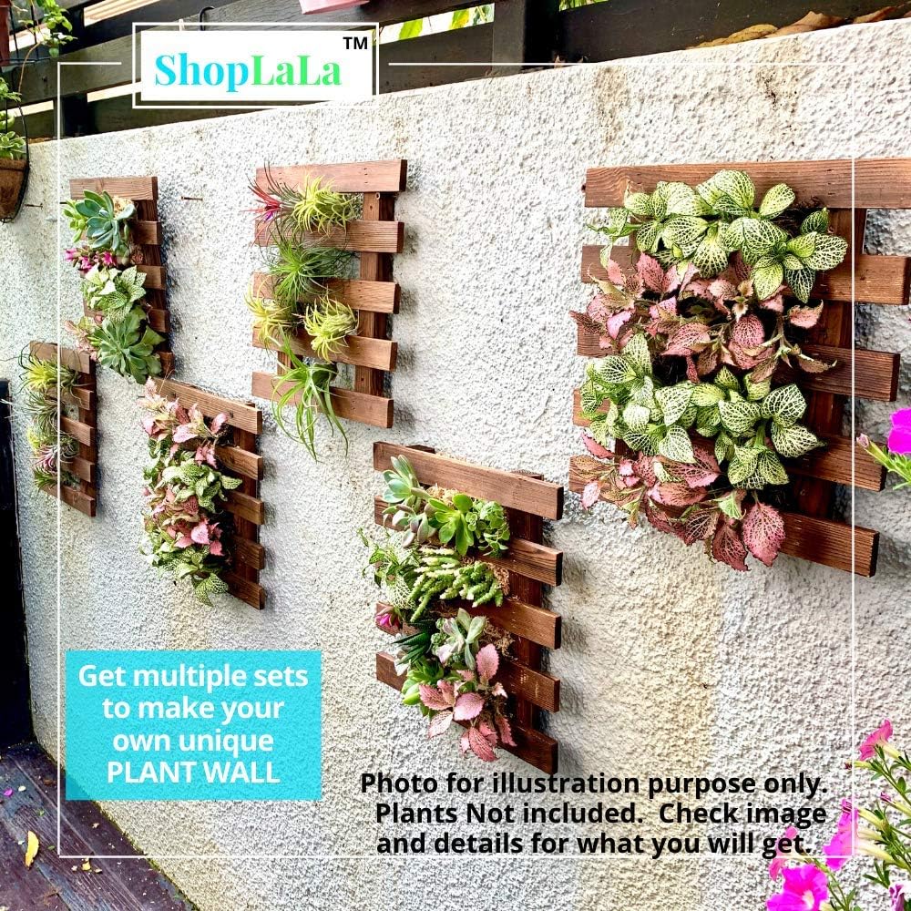 ShopLaLa Wall Planter - 2 Pack Wooden Hanging Succulent Wall Decor, Live Air Plants Orchids Wall Mounted Holder Frame