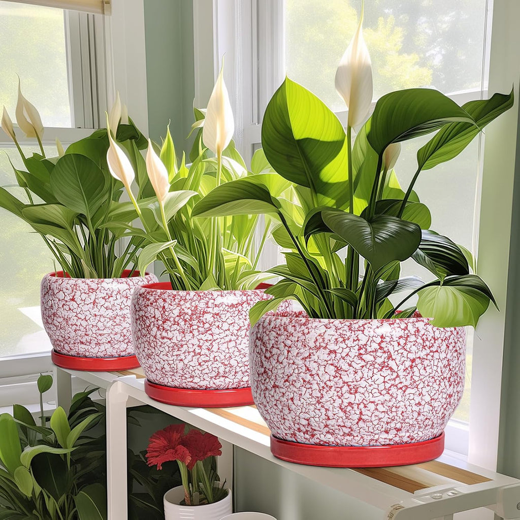 SQOWL 6 Inch Plant Pot - Ceramic Planter for Indoor Outdoor, Round Decorative Plant Pot with Drainage Hole and Saucer