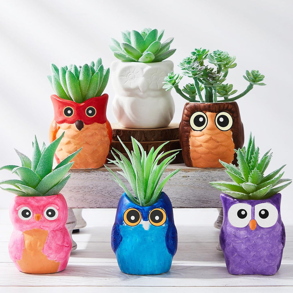 12 Set Paint Your Own Ceramic Planters Mini Owl Ceramic to Paint Succulent Pots 3 Inch Bisque Ceramics Unpainted with