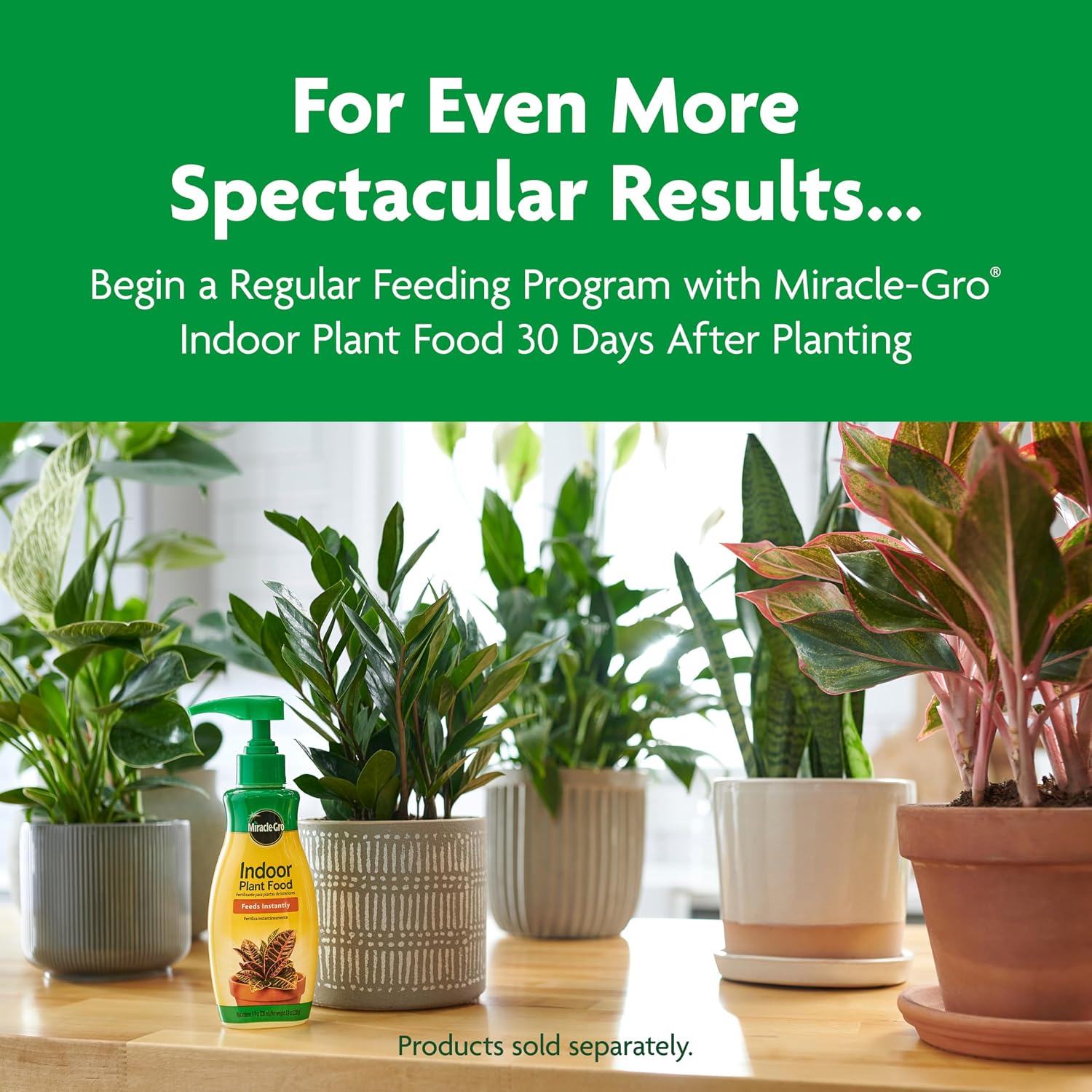 Gro Indoor Potting Mix, Blended for a Variety of Houseplants, Feeds for up to 6 Months, 6 qt., 3-Pack