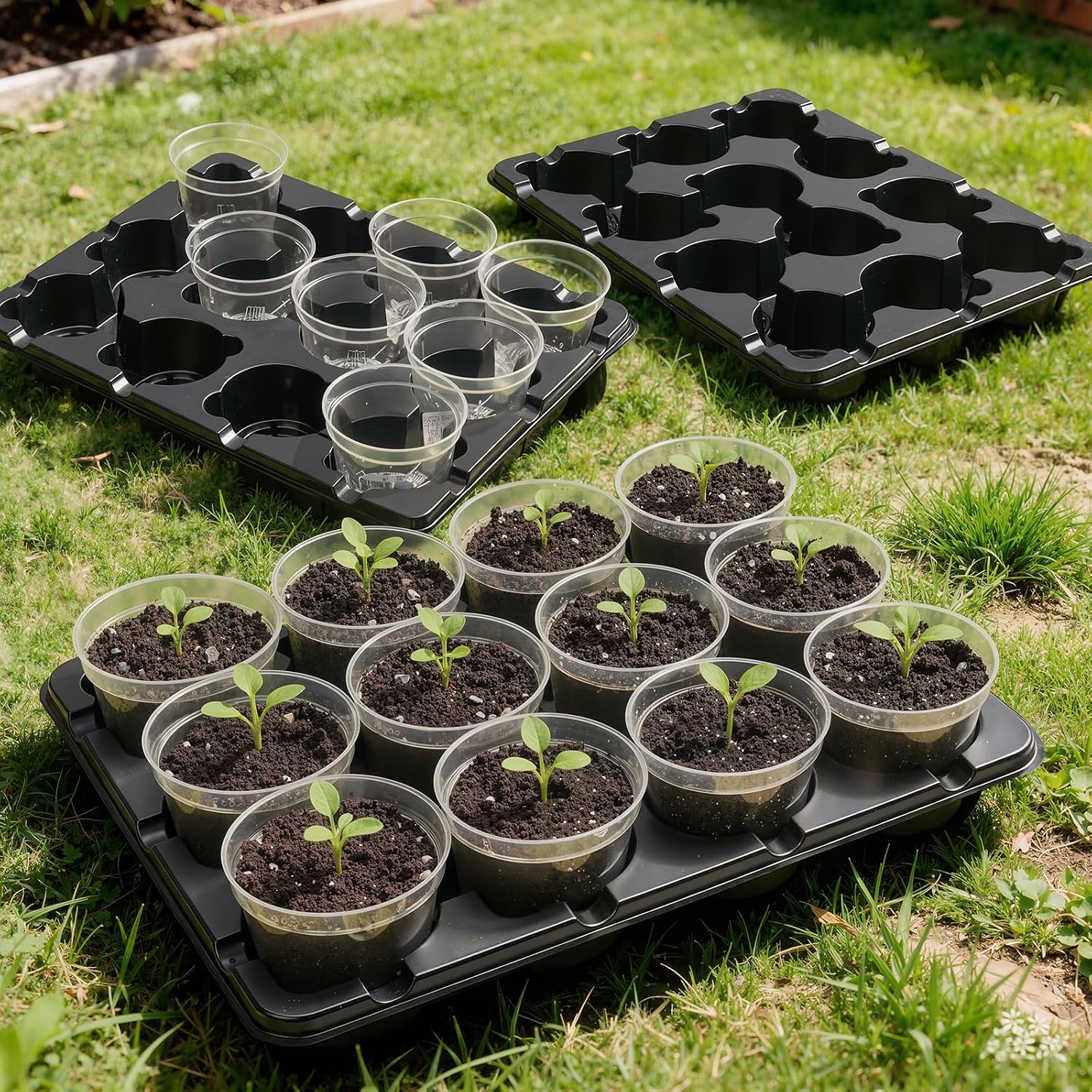 2 Pack 12 Cell Seed Starter Trays with 24 Clear 4 Inch Plant Pots | Reinforced trays securely hold clear pots with