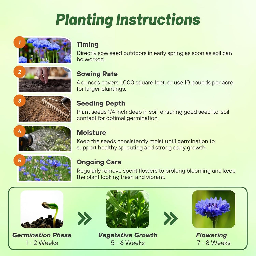 Outsidepride Blue Cornflower Seeds for Planting - 1 lb. Annual Bachelor's Button Flower Seeds for Cut Flower Gardens