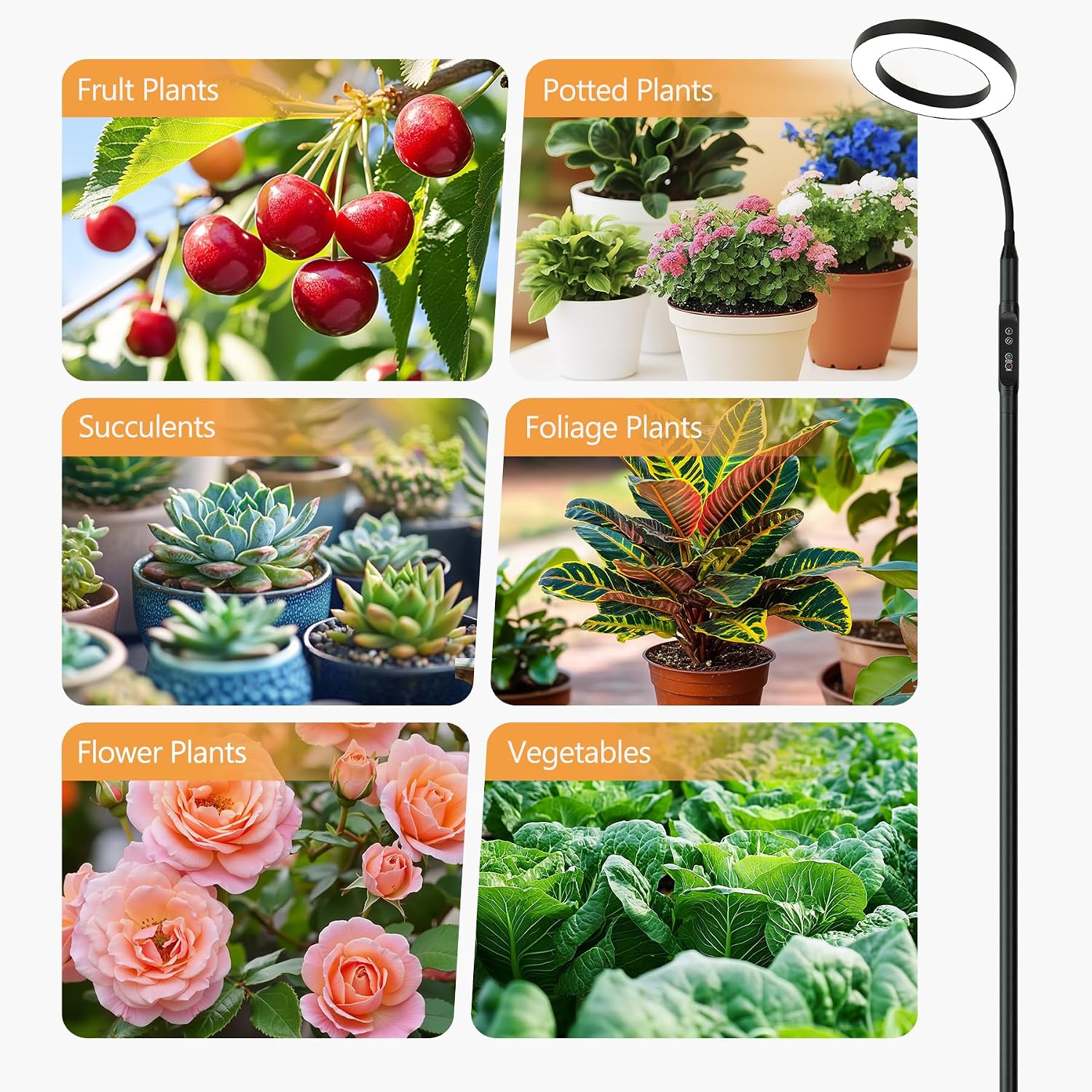 Grow Light Indoor Plants, 20W Full Spectrum Lamp, Height Adjustable Stand | 4/8/12H Auto Timer Setting,10 Dimmable