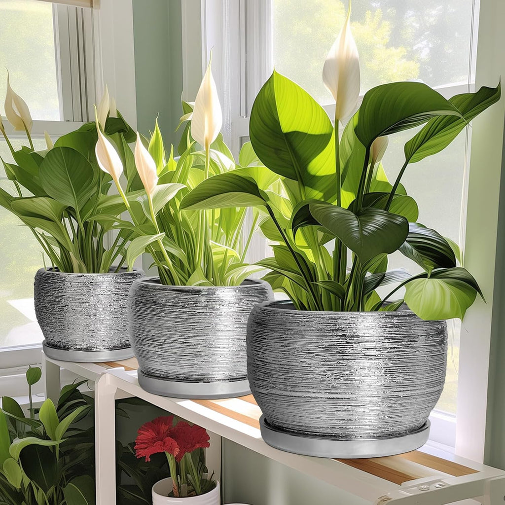 SQOWL Ceramic Plant Pots - 6 Inch Planter for Indoor Outdoor Plants, Modern Round Flower Pots with Drainage Hole and