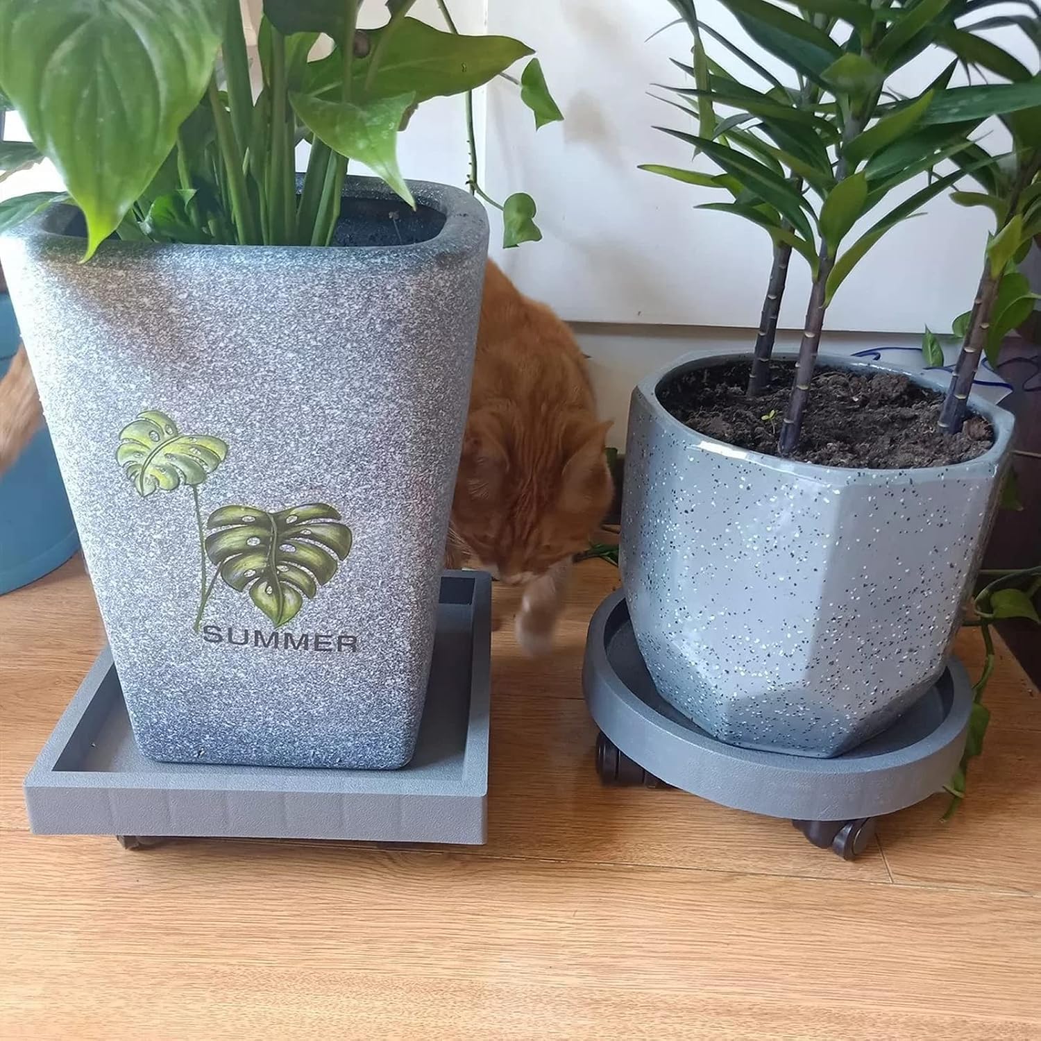 2 Pack of 14 Inch Heavy Duty Plant Caddy with Wheels,Rolling Plant Stand Pot Trolley,Wheeled Planter Saucer Tray,Potted