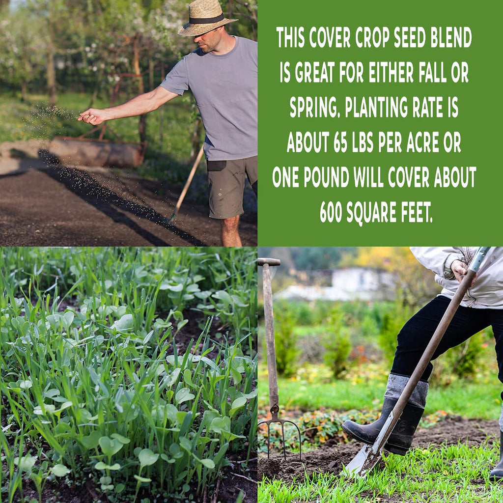 Mountain Valley Seed Co No-Till Garden Farm and Garden Cover Crop Mix Seeds | 5 Lbs - Blend of Gardening Cover Crop