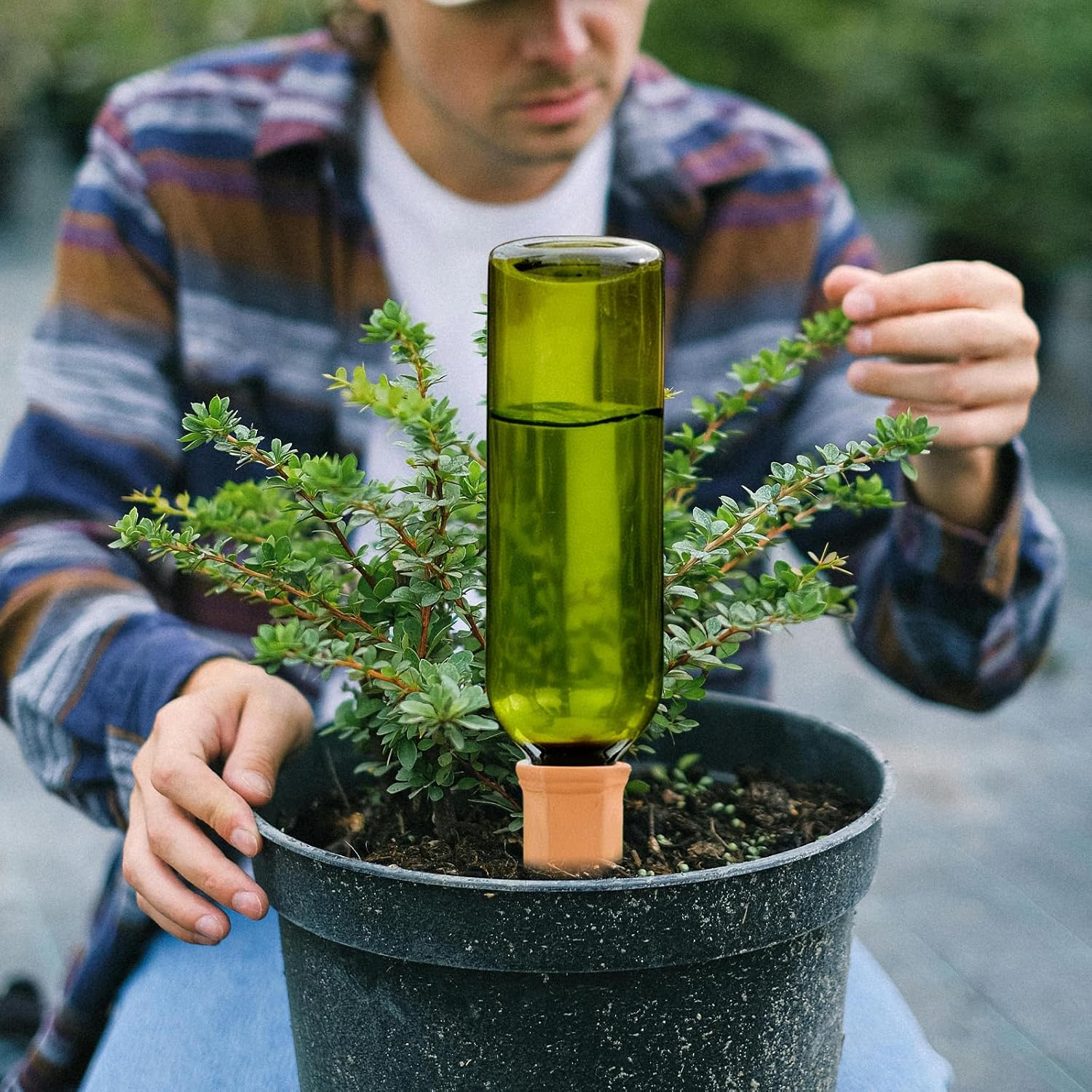 TINSKY 6 Sets Plant Watering Devices Terracotta Self Watering Spikes and 26 Oz Plastic Green Bottles Slow Release