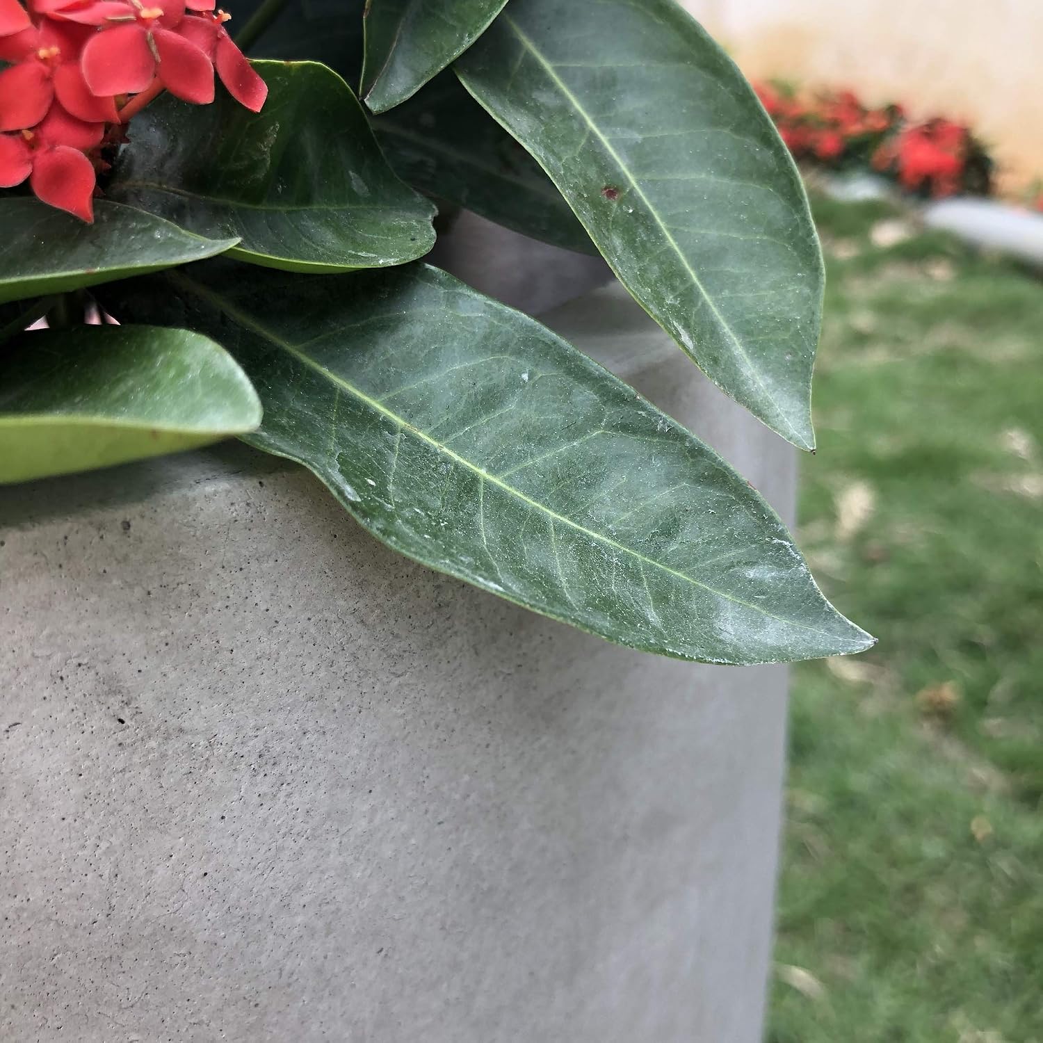 Kante Large 18" Round Concrete Planter, Modern Bowl Plant Pot for Home | Drainage Hole & Rubber Plug, Premium and