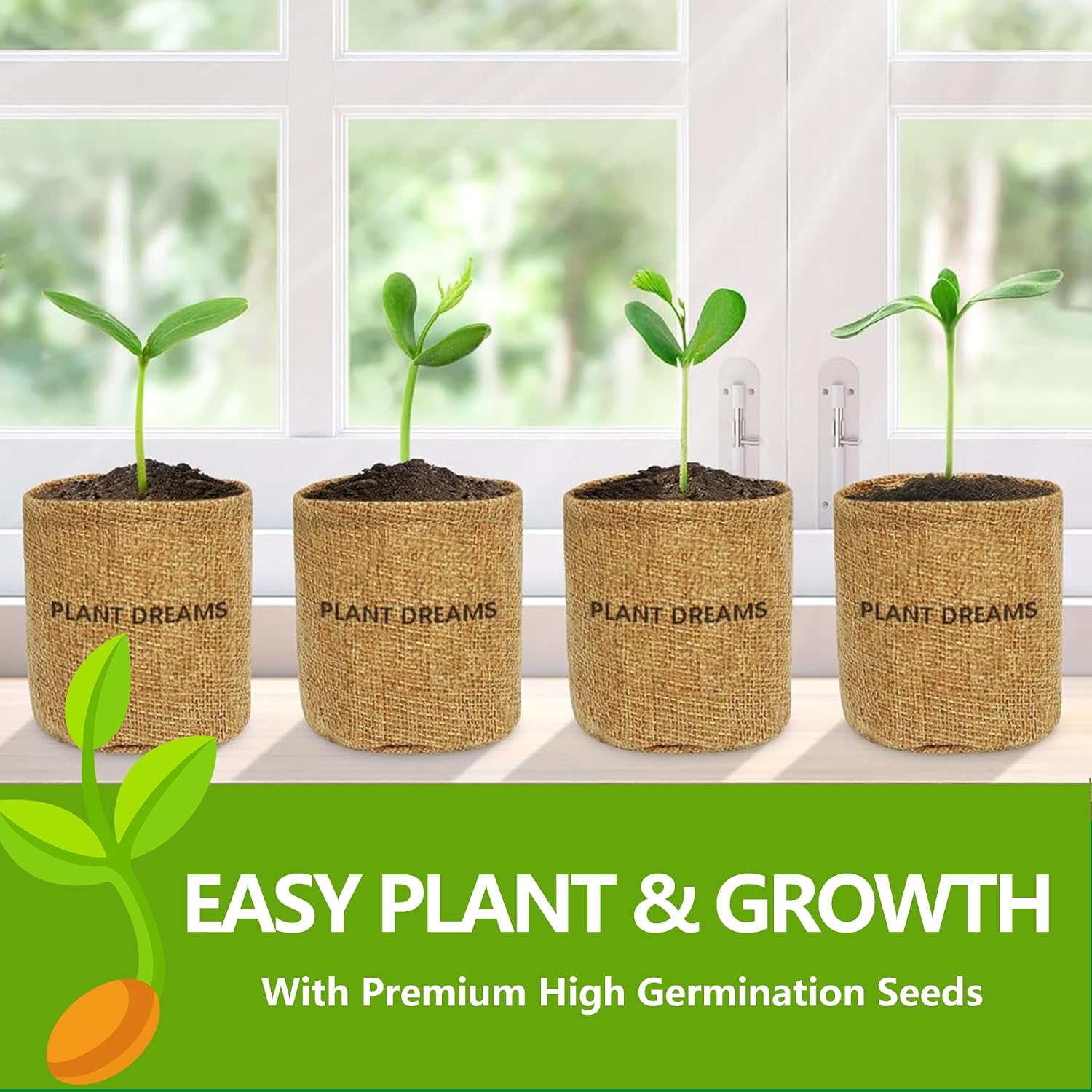 Bonsai Tree Kit, Bonsai Starter Kit with Seeds & Tools, Tree Live Plants Indoor, Gardening Gifts for Women Men Mom