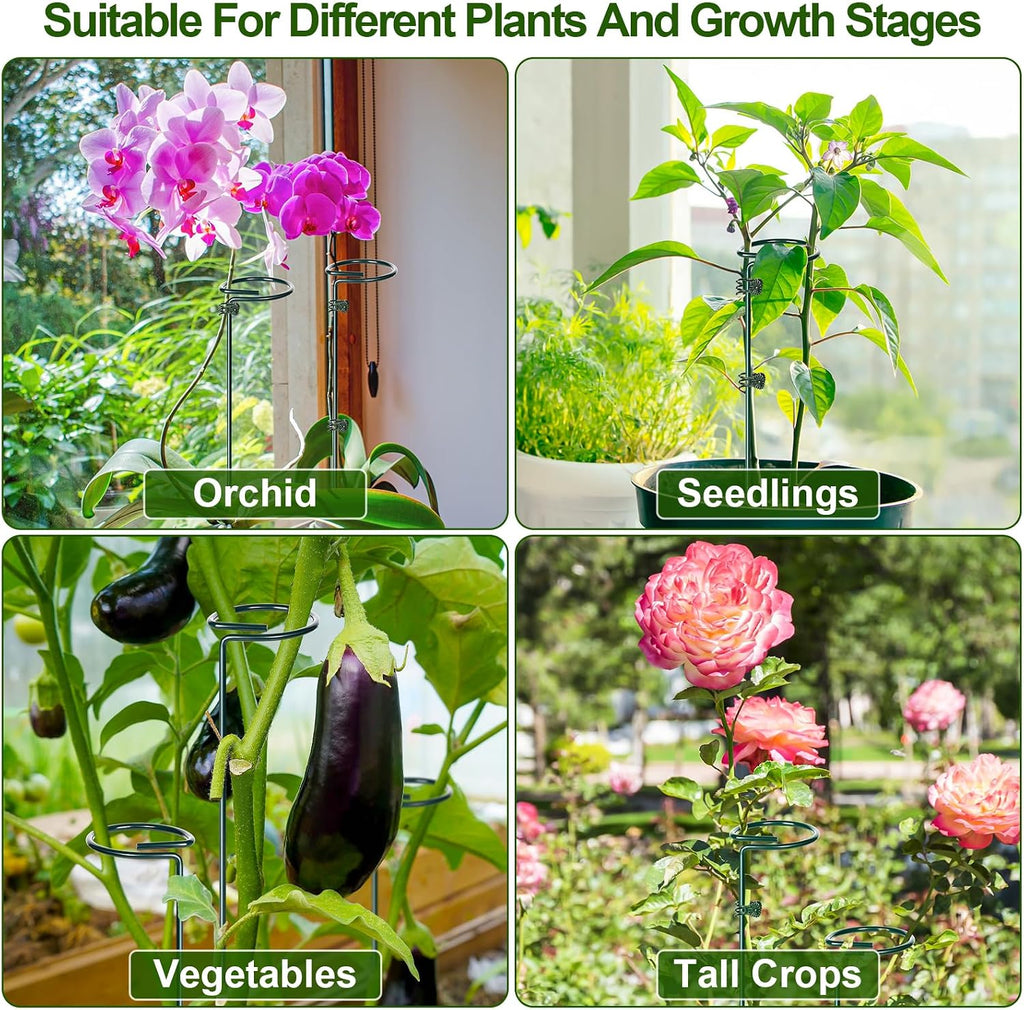 Mwellewm 6 Sets Plant Stakes 12/25/36 Inch Adjustable Plant Support Stakes Tall for Indoor Outdoor Plant Holder Stick