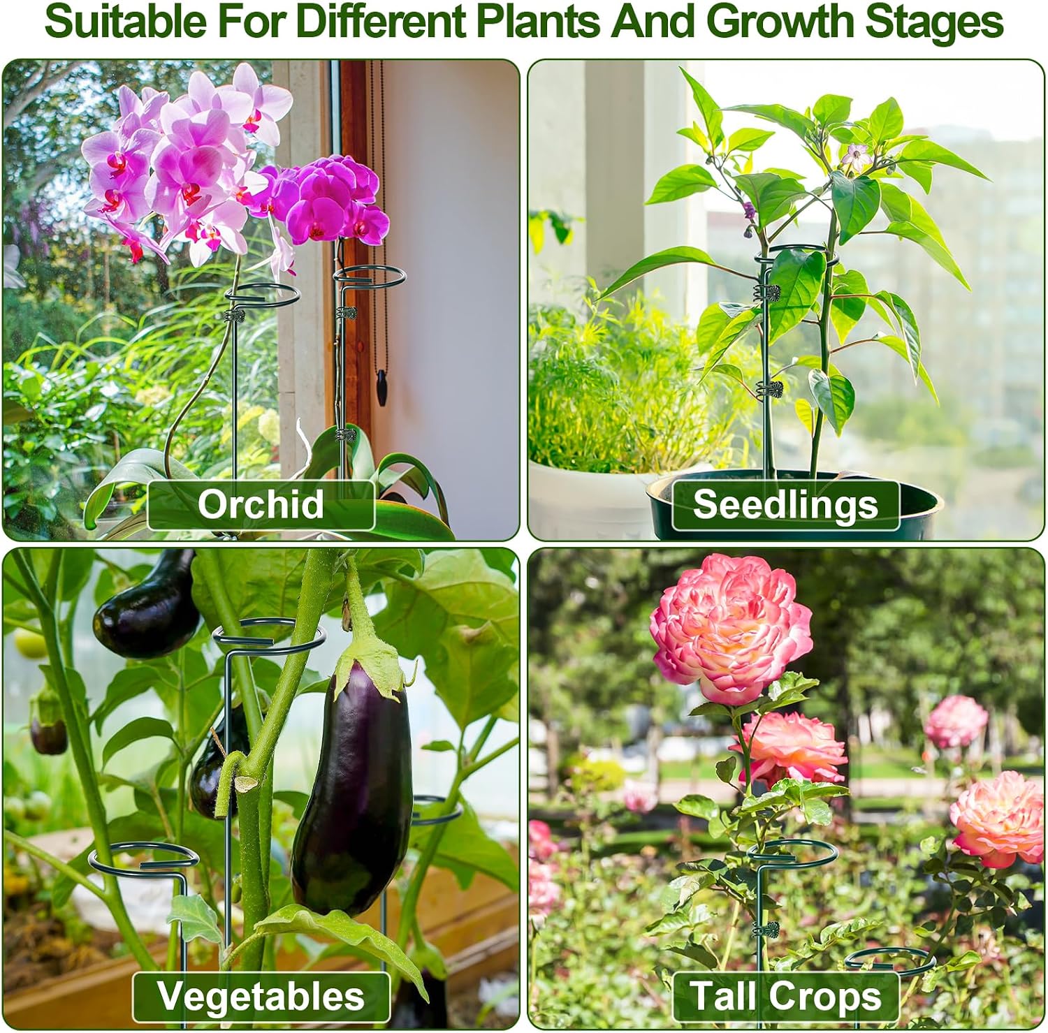 Mwellewm 6 Sets Plant Stakes 12/25/36 Inch Adjustable Plant Support Stakes Tall for Indoor Outdoor Plant Holder Stick