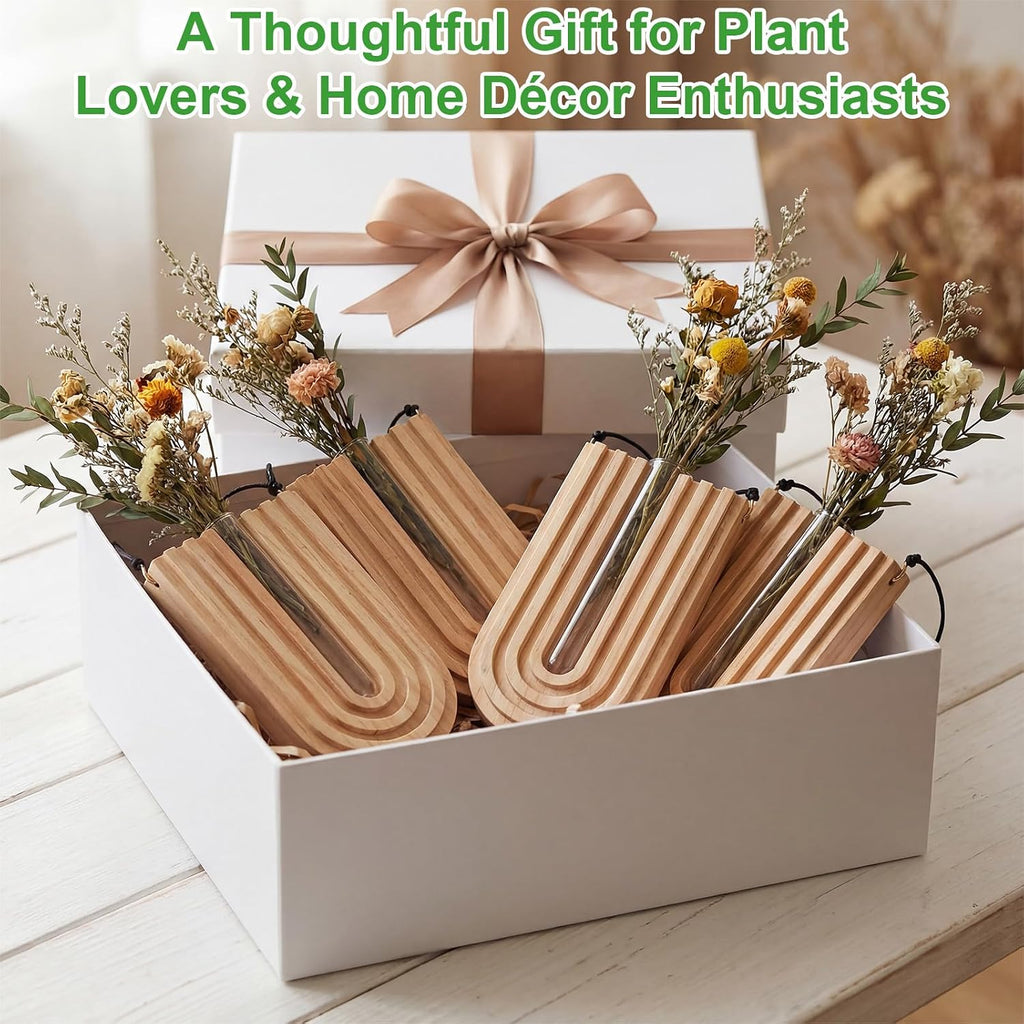 Set of 4 Wooden Wall Planter Vase Hanging Propagation Stations Glass Plant and Flower Vases Wall Plant Holder for