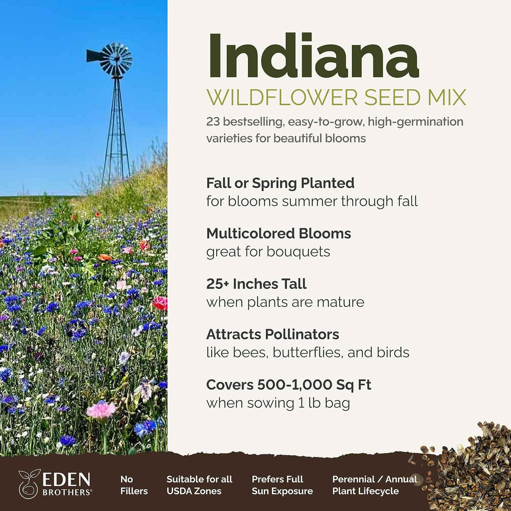 Eden Brothers Indiana Wildflower Mixed Seeds for Planting, 1 lb | 480,000+ Seeds with Sweet William, Cornflower