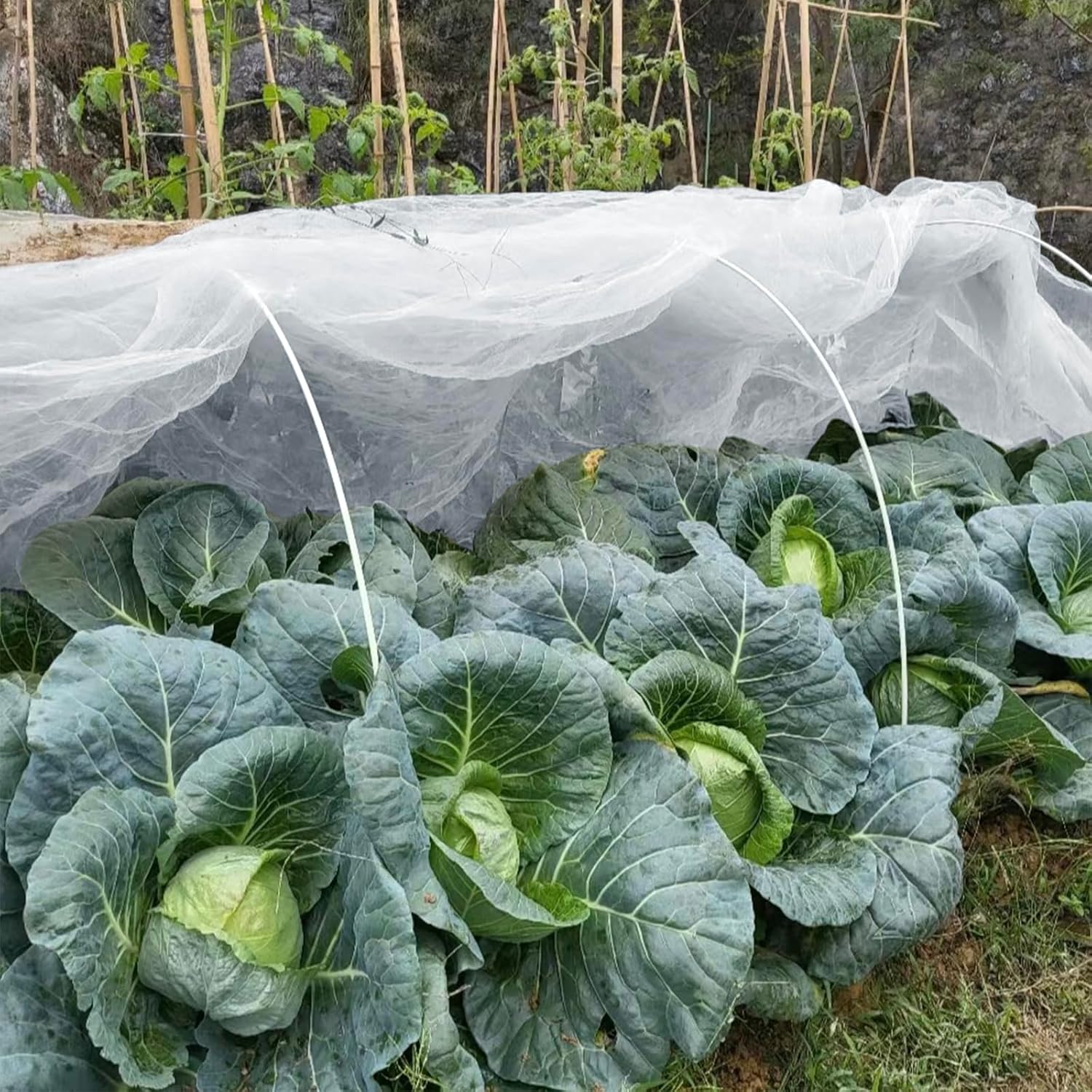 GonLei Garden Netting 10 X 100 FT Ultra Fine Netting for Garden Protection,Garden Netting for Raised Beds,Mosquito Net