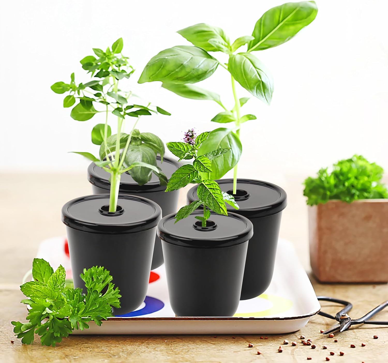 Kratky Method Hydroponic Planter Kit, 8 Hydroponic Planter Plus 24 Growing Sponges for Herbs, Hydroponic Mini Buckets