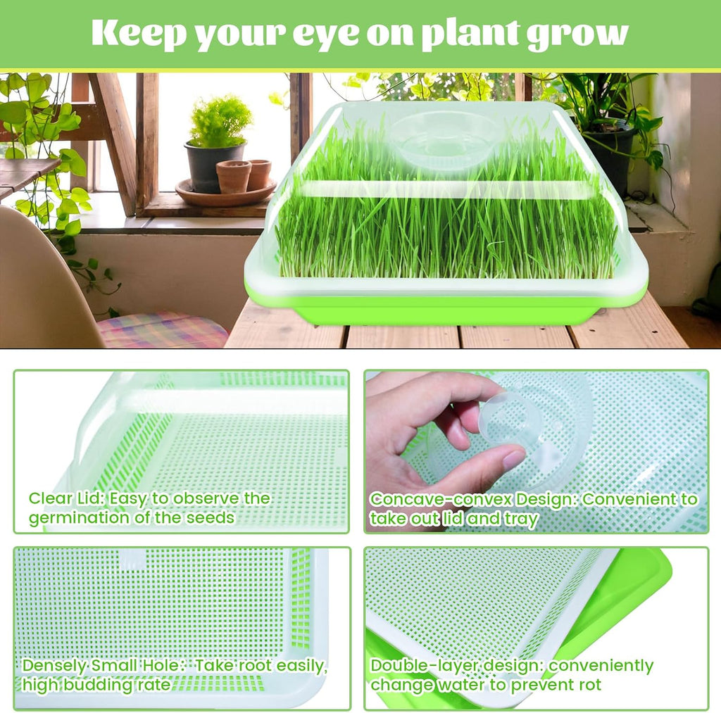 5 Pack Seed Sprouter Trays with Lids- Soil-Free Cultivation Germination Tray, BPA Free Micro Greens Growing Trays Seed