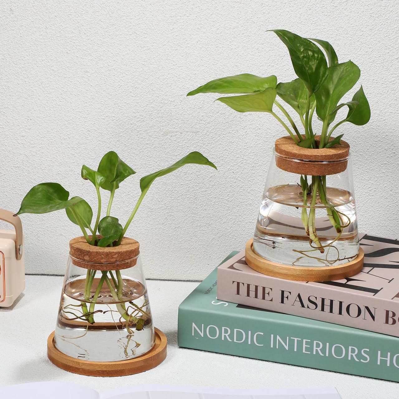 2pcs Glass Plant Propagation Station with Wooden Base Hydroponic Plants Vase for Indoor Decor Glass Terrarium Vase Jars