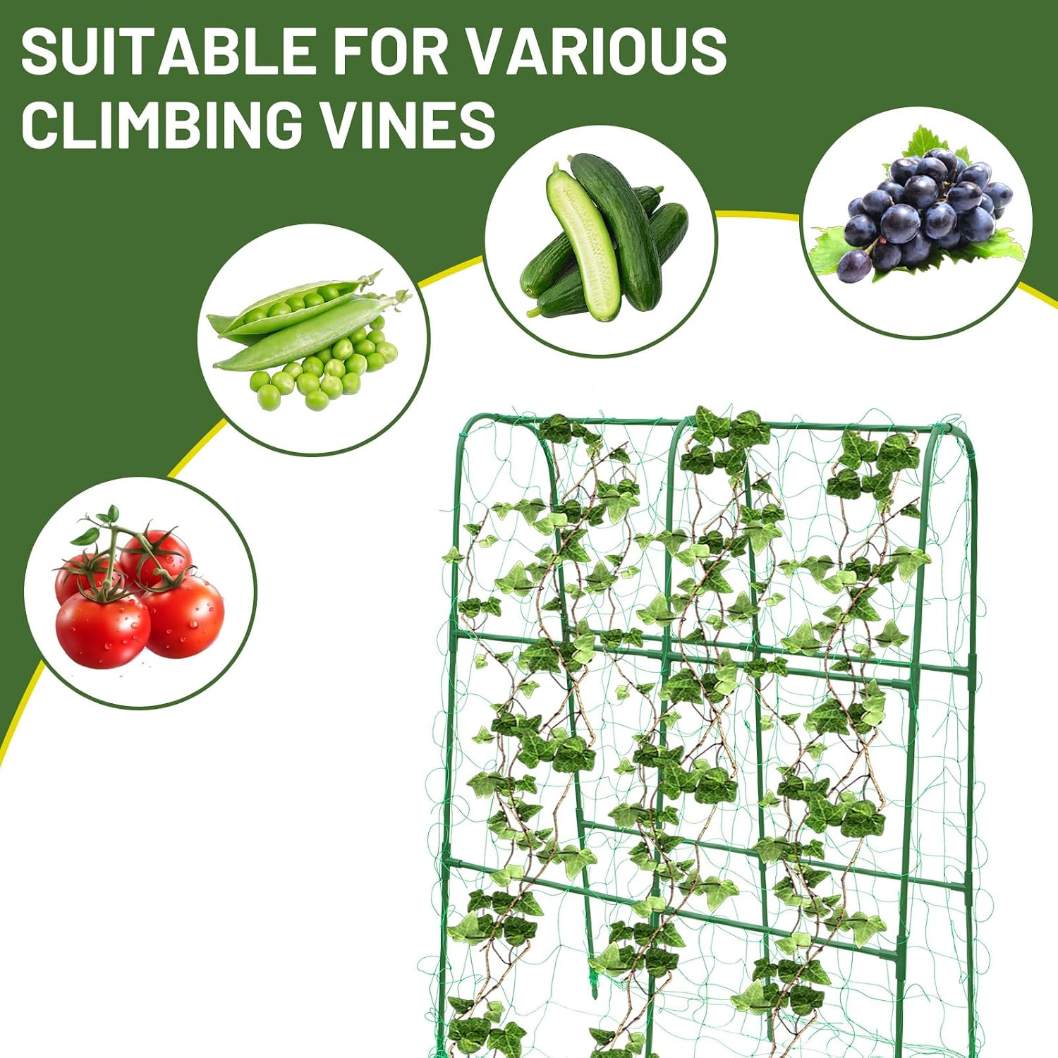 Compact U-Shaped Plant Trellis for Peas, Beans & Light Climbing Plants - Rust-Resistant, Foldable Design, Lightweight