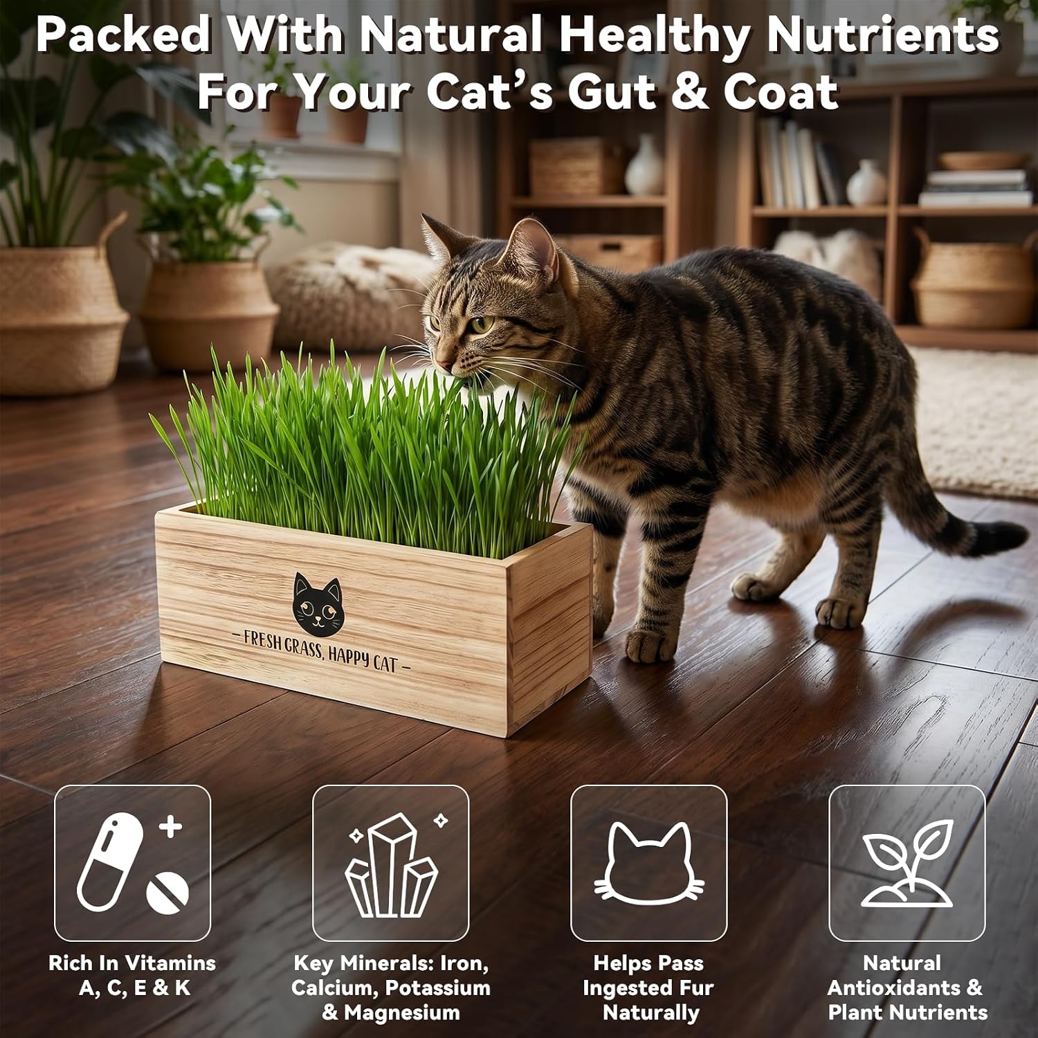 Cat Grass Kit for Indoor Cats Non-GMO Wheatgrass Seeds Growing Set | Wooden Planter with Liner, x6 Seed Packs & Coconut