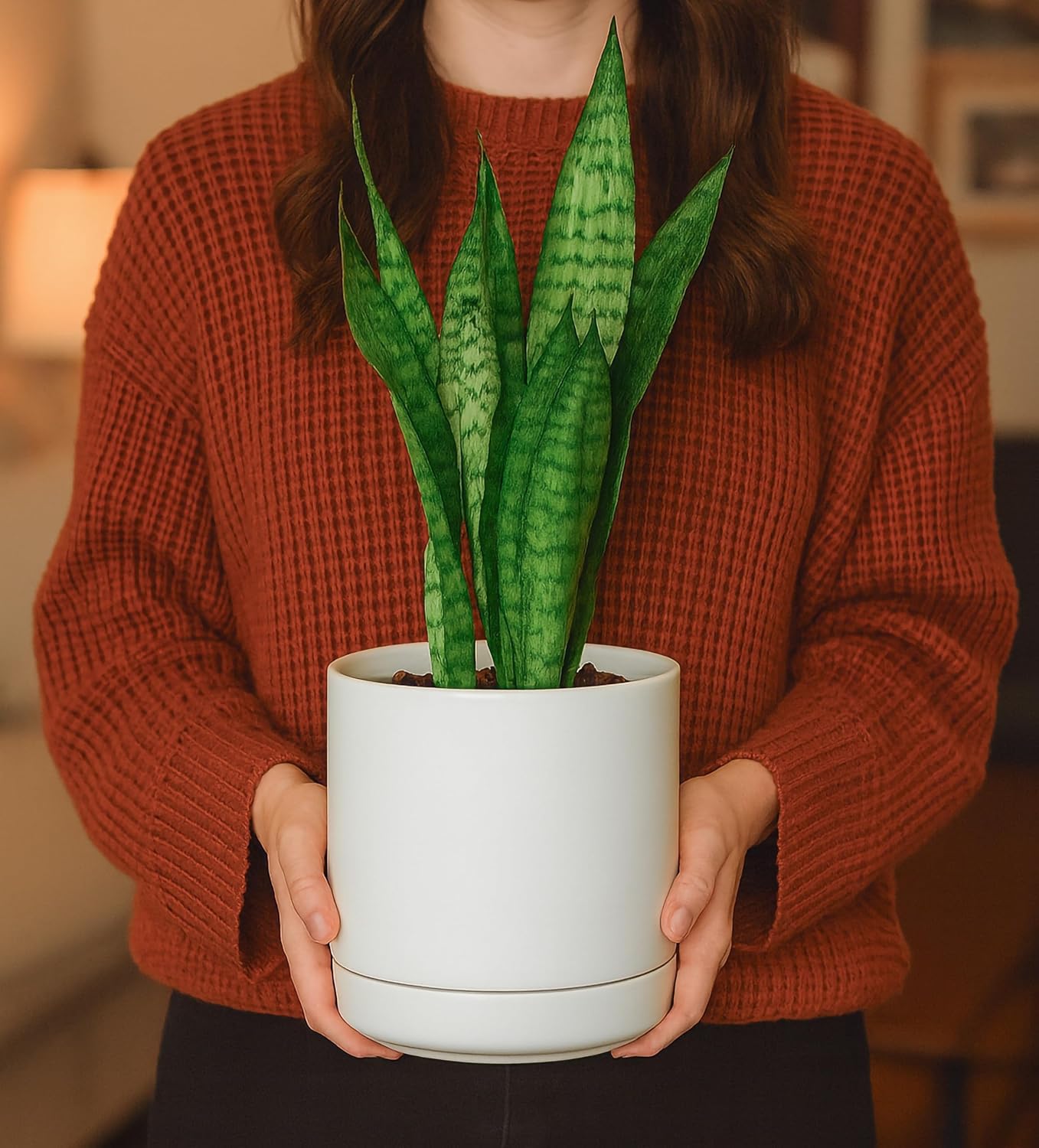 D'vine Dev 6.5 Inch Ceramic Planter Pot, White, 94-O-C-1 | Modern Cylinder Design, Drainage Hole & Saucer Included