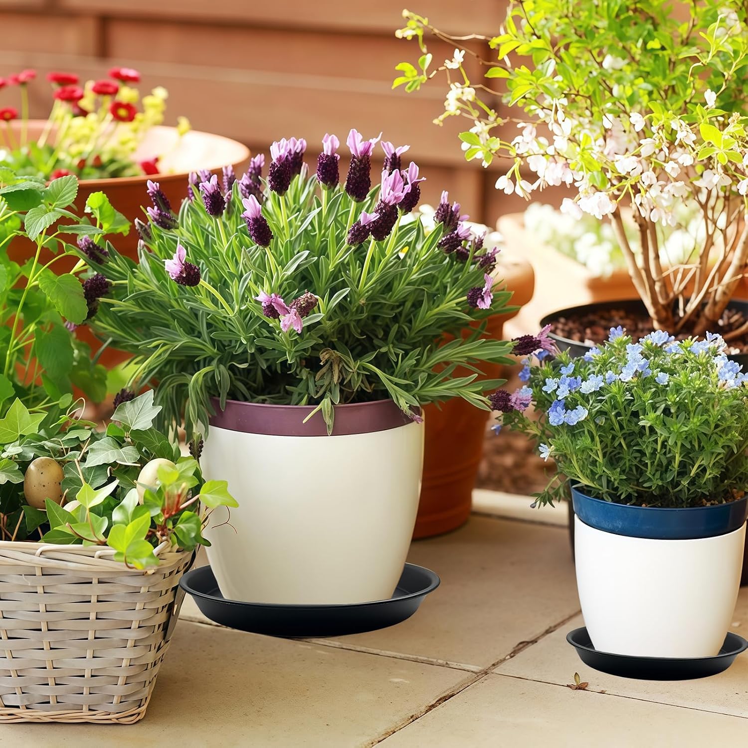 9 Pack Black Plant Pot Saucers, 8 10 12 Inch Heavy Duty PP Trays | Plant Watering Trays for Indoor & Outdoor Flower Pots