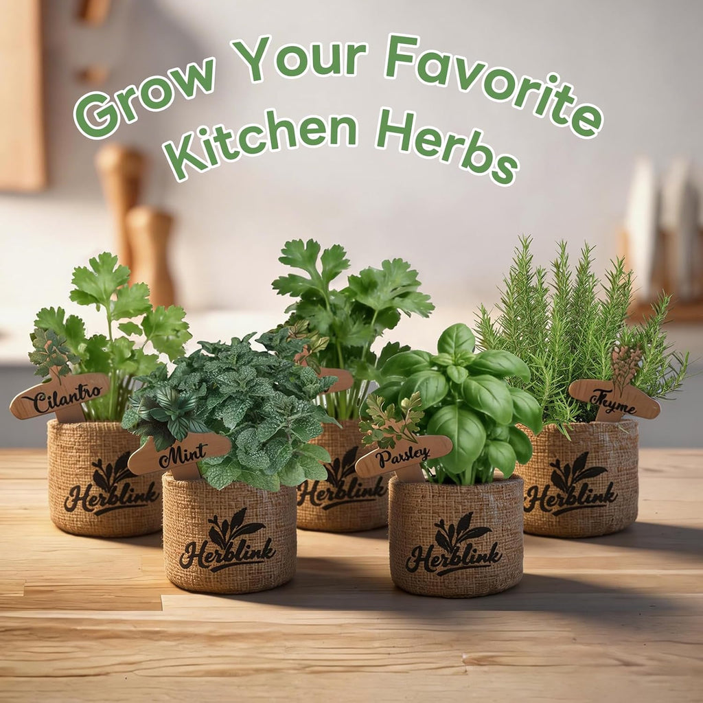 Indoor Herb Garden Starter Kit, Unique Gifts 5 Herb Garden Planter Indoor Kit with Wooden Box Including Basil