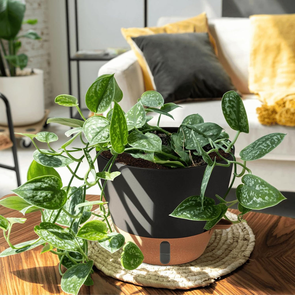 montresor 12/10/8 Inch Self Watering Pots for Indoor Plants Plastic Large Plant Pots for Outdoor Plants, Water Level