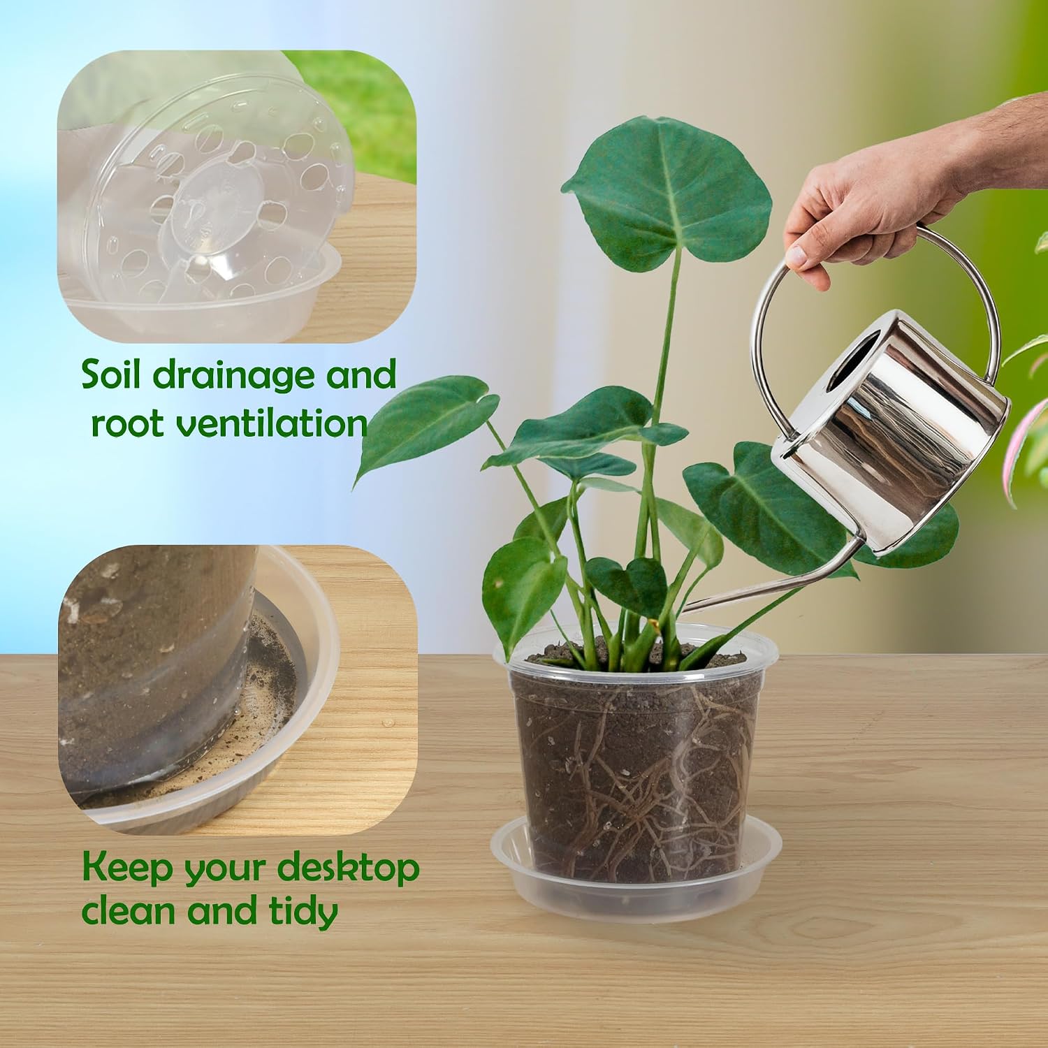 30 Pack 3/4/5/6/7 Inch Clear Nursery Pots with Drainage and 30 Pack Plant Saucers, Plant Pots for Plants Transparent